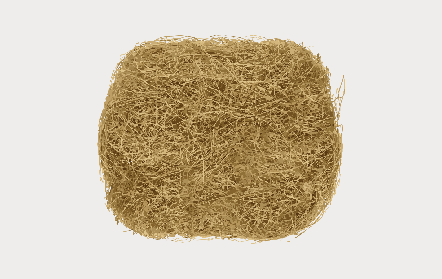 Coir.png