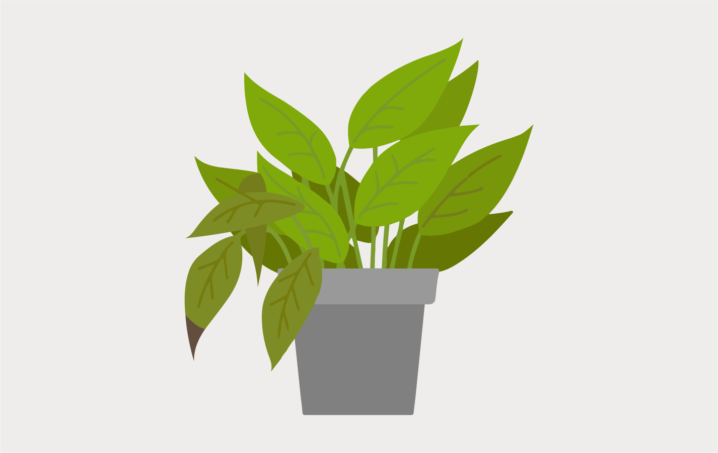 Wilted Plant.png