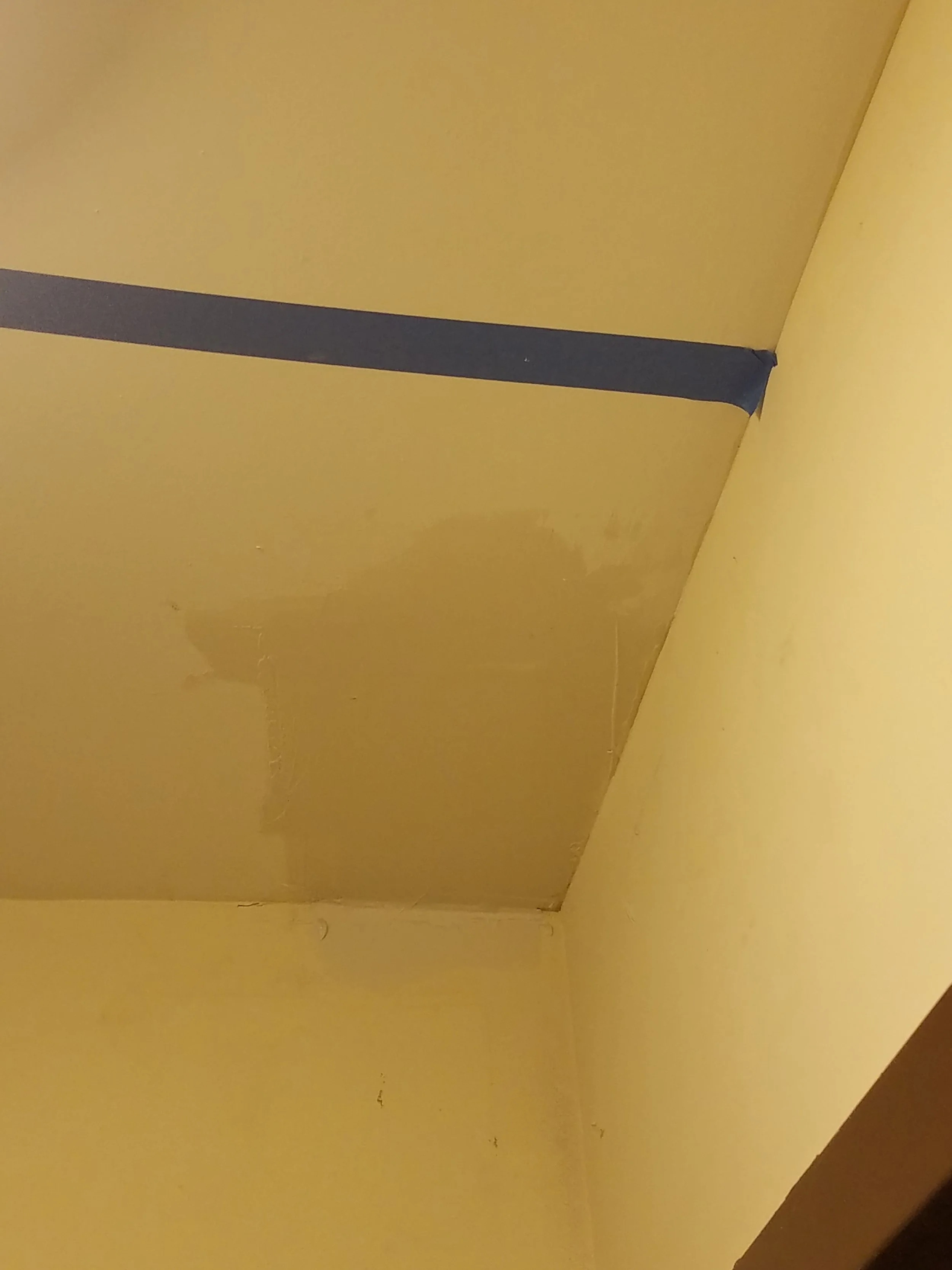 20170906_113710 (1).jpg