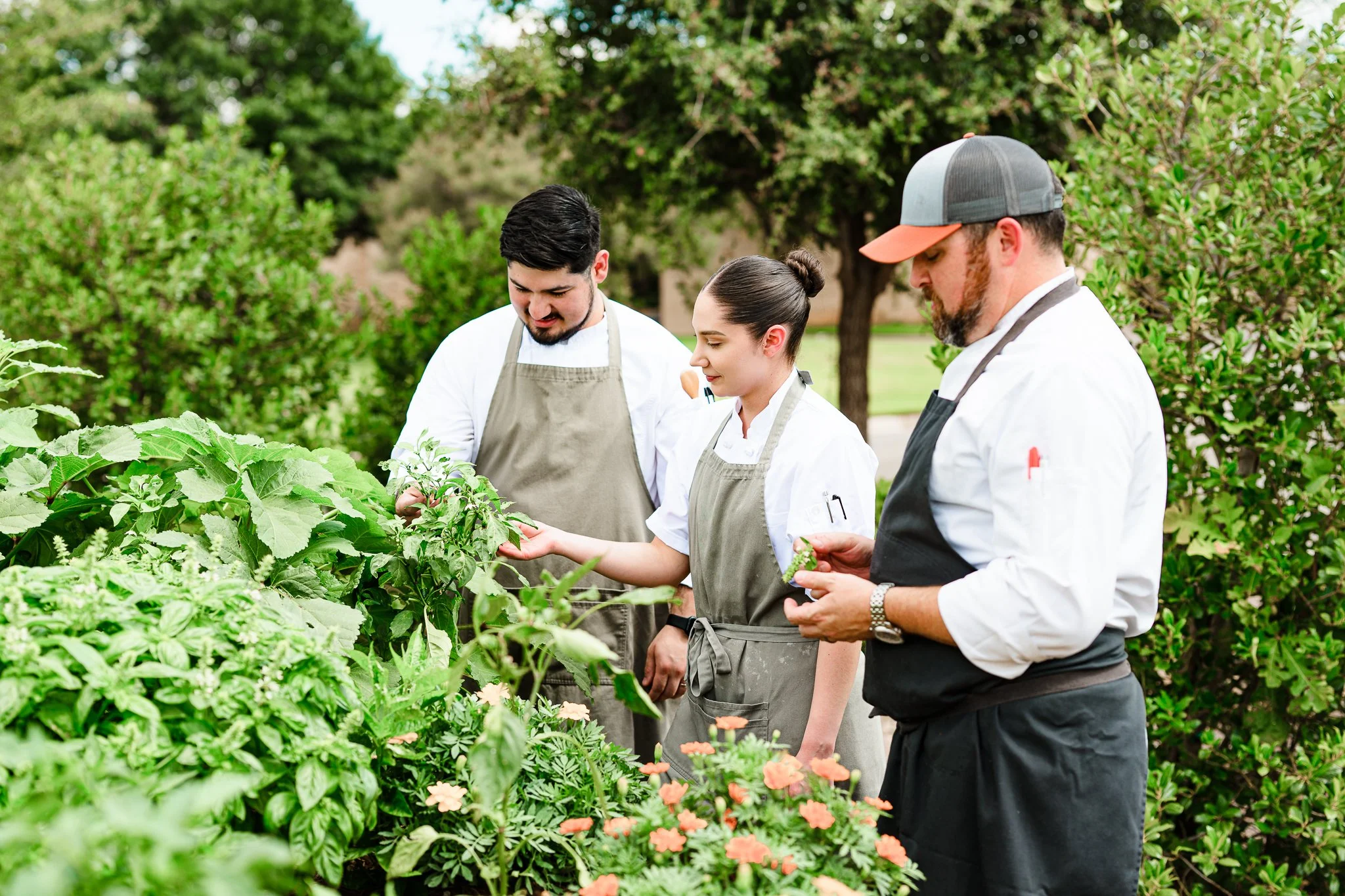 WHY WE USE FRESH INGREDIENTS