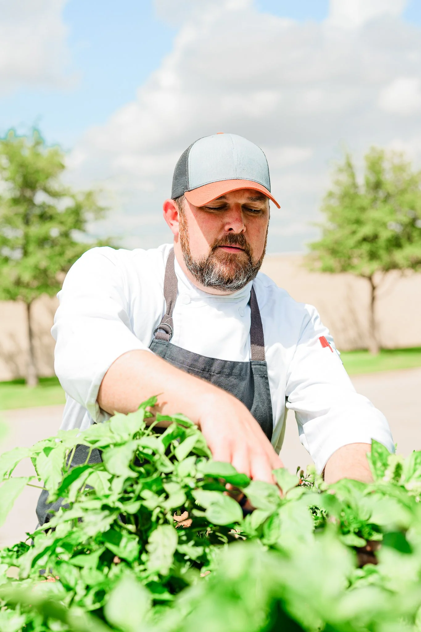 A man wearing a gray and orange cap and a white chef's coat with a black apron working outdoors in a garden or farm, surrounded by green plants.