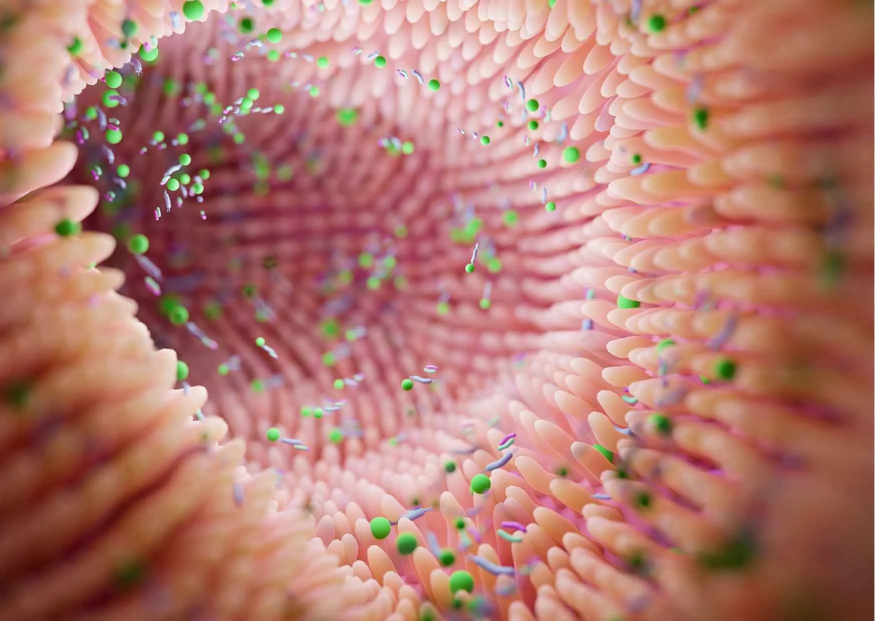 Leaky Gut: Was bedeutet eine durchlässige Darmbarriere?