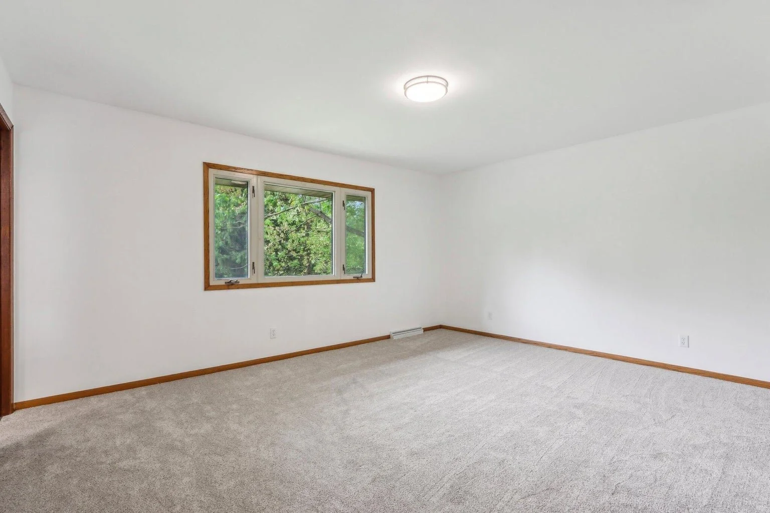 Empty room with beige carpet, white walls, a window with a view of green trees, and a ceiling light fixture.
