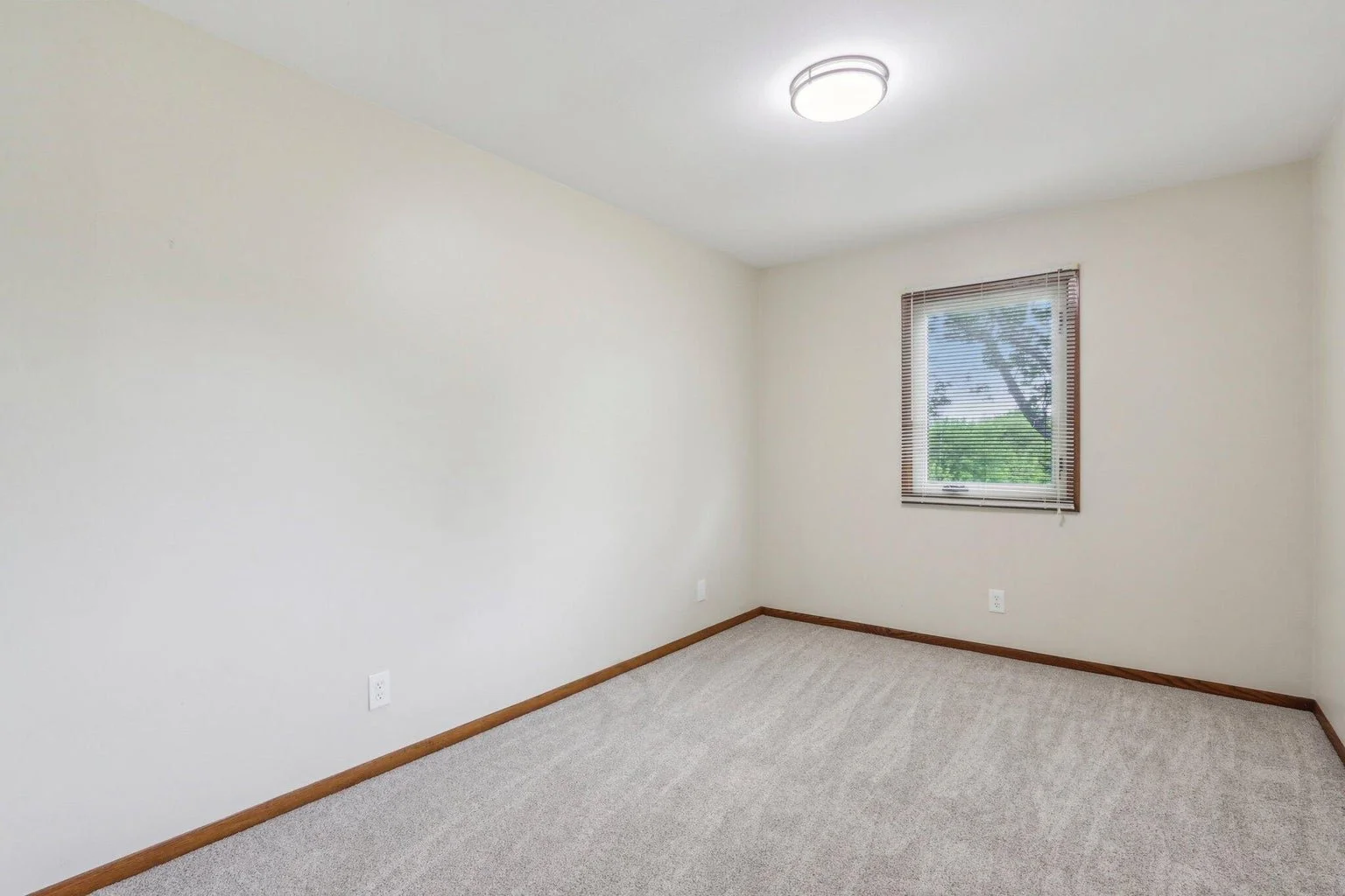 Empty room with beige walls, carpeted floor, one window with blinds showing trees outside, and a ceiling light.