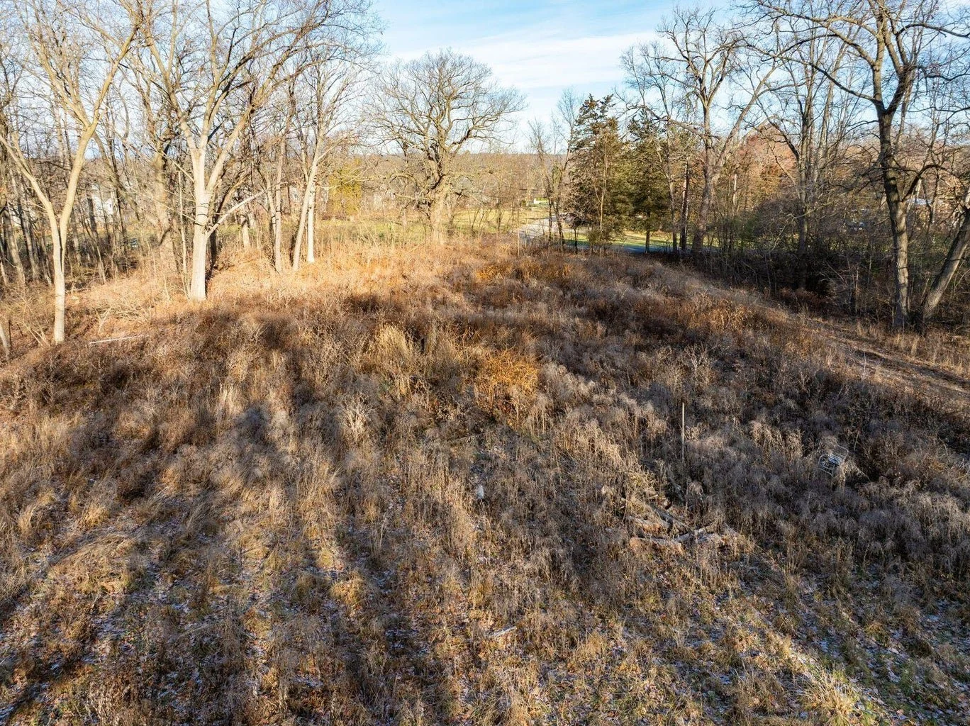 An aerial view of a hillside covered in dry grass and shrubs, with trees in the background and a clear blue sky overhead.