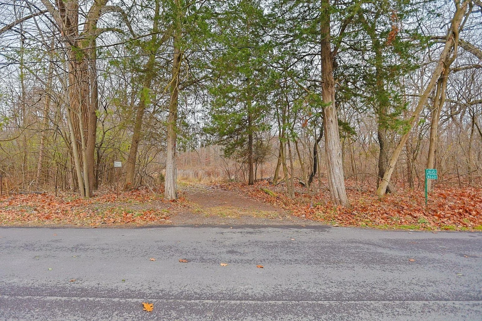 A wooded area at the edge of a paved road during autumn, with trees having mostly bare branches, some green foliage, and fallen leaves on the ground and road. There are small signs on the trees and a signpost indicating route numbers.