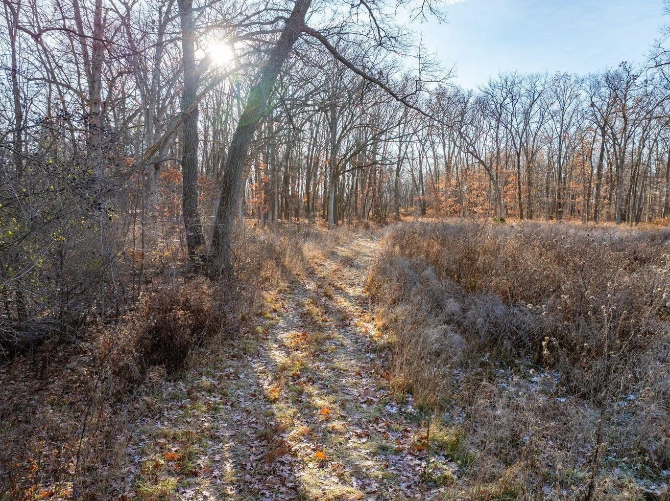 A dirt trail running through a leafless wooded area during winter, with the sun shining through the trees.