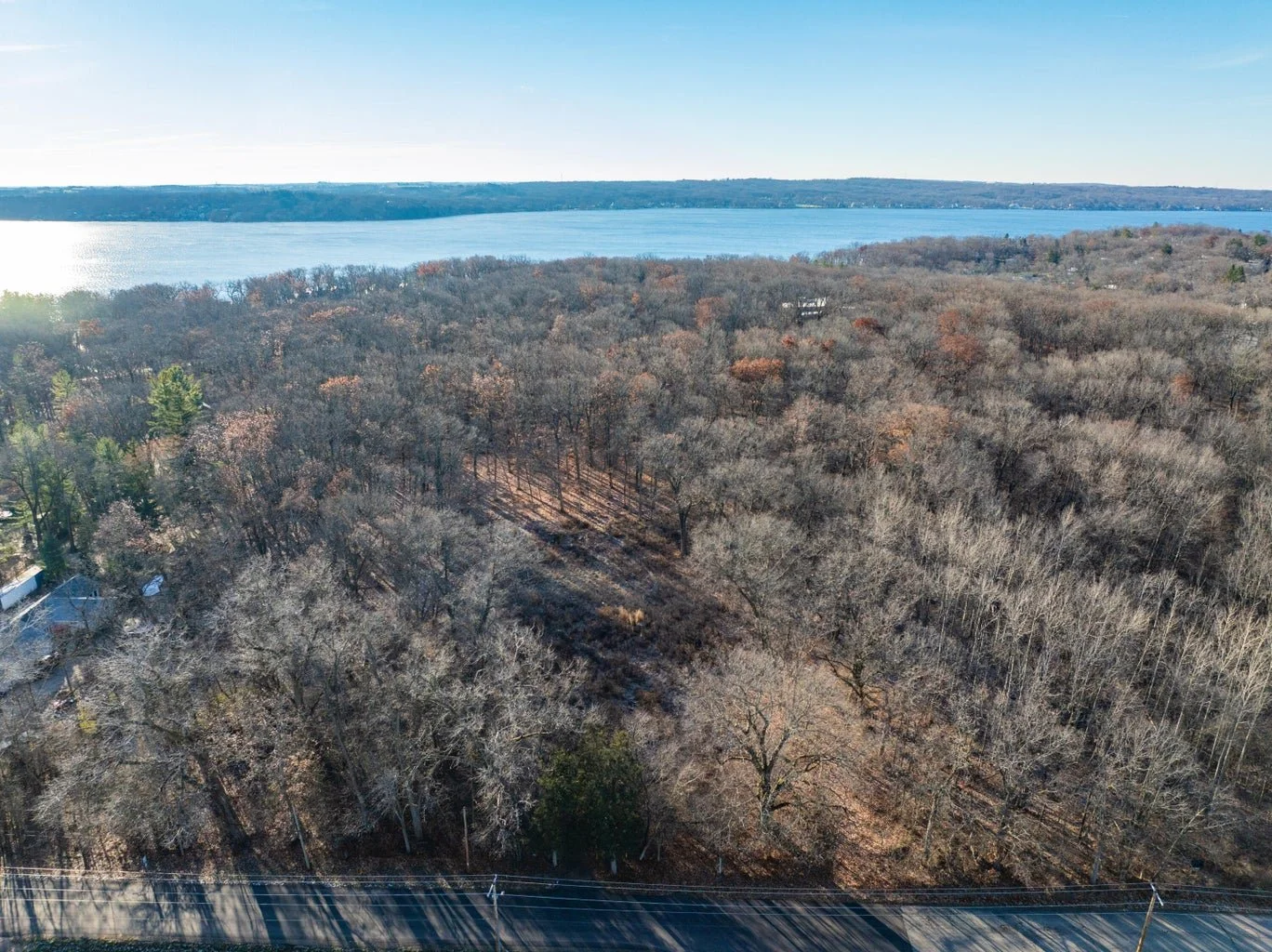 Aerial view of a large wooded area with mostly bare trees, near a body of water under a clear blue sky.