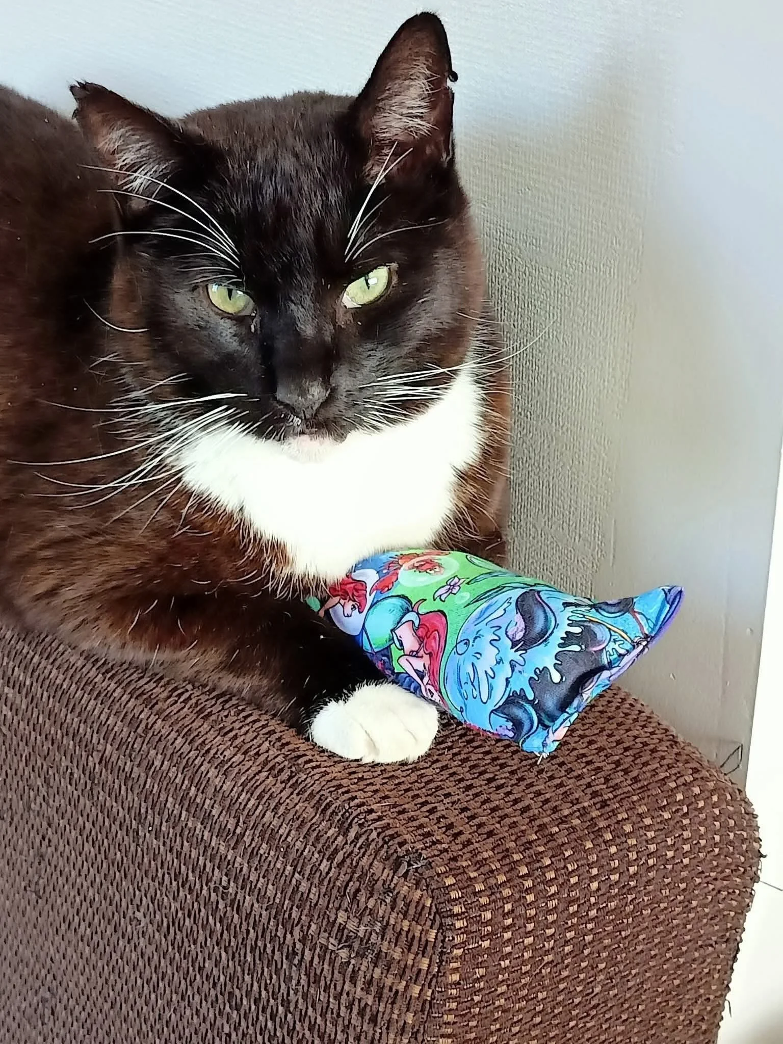 Catnip Kick Toys