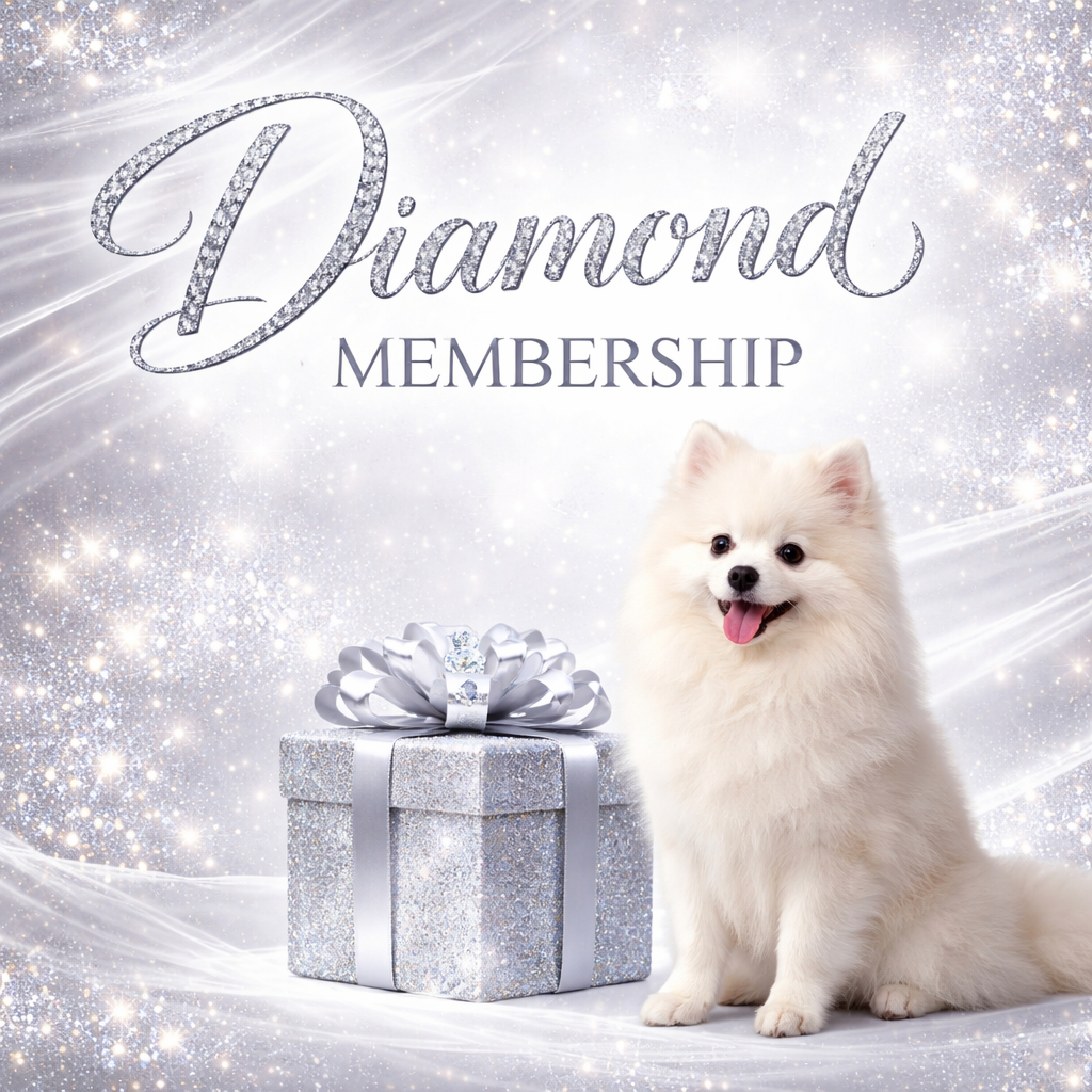 ChatGPT Image Mar 20, 2026, 03_42_10 AM.png