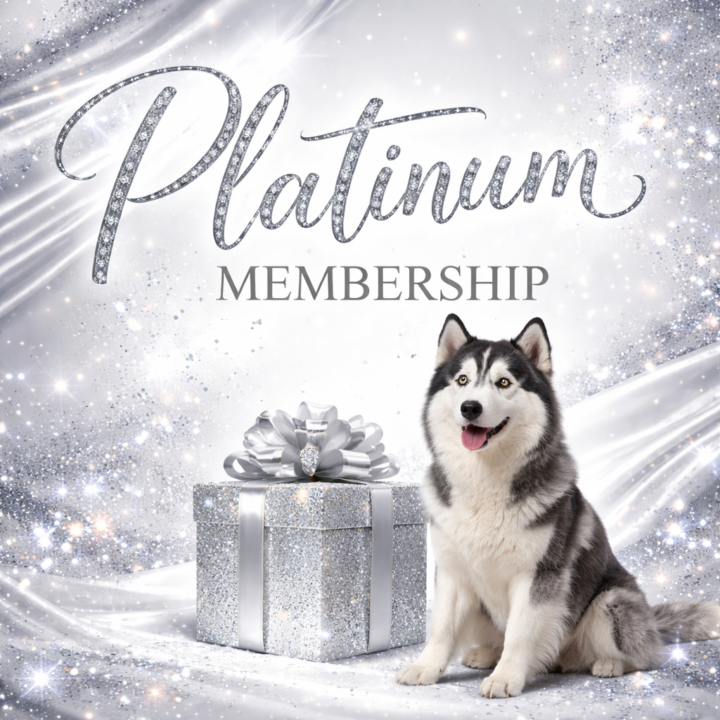 ChatGPT Image Mar 20, 2026, 03_35_08 AM.png