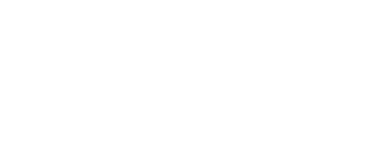 Ladlaw College logo with New Zealand imagery, including a flame, star, and stripes.