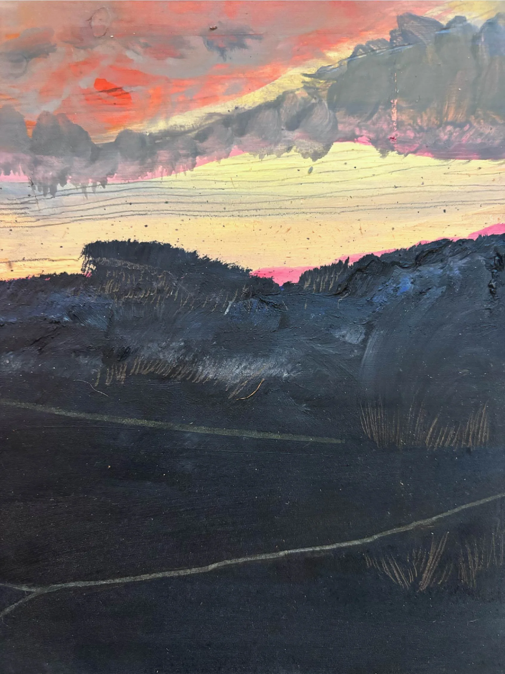 Dark_landscape_close2.jpg