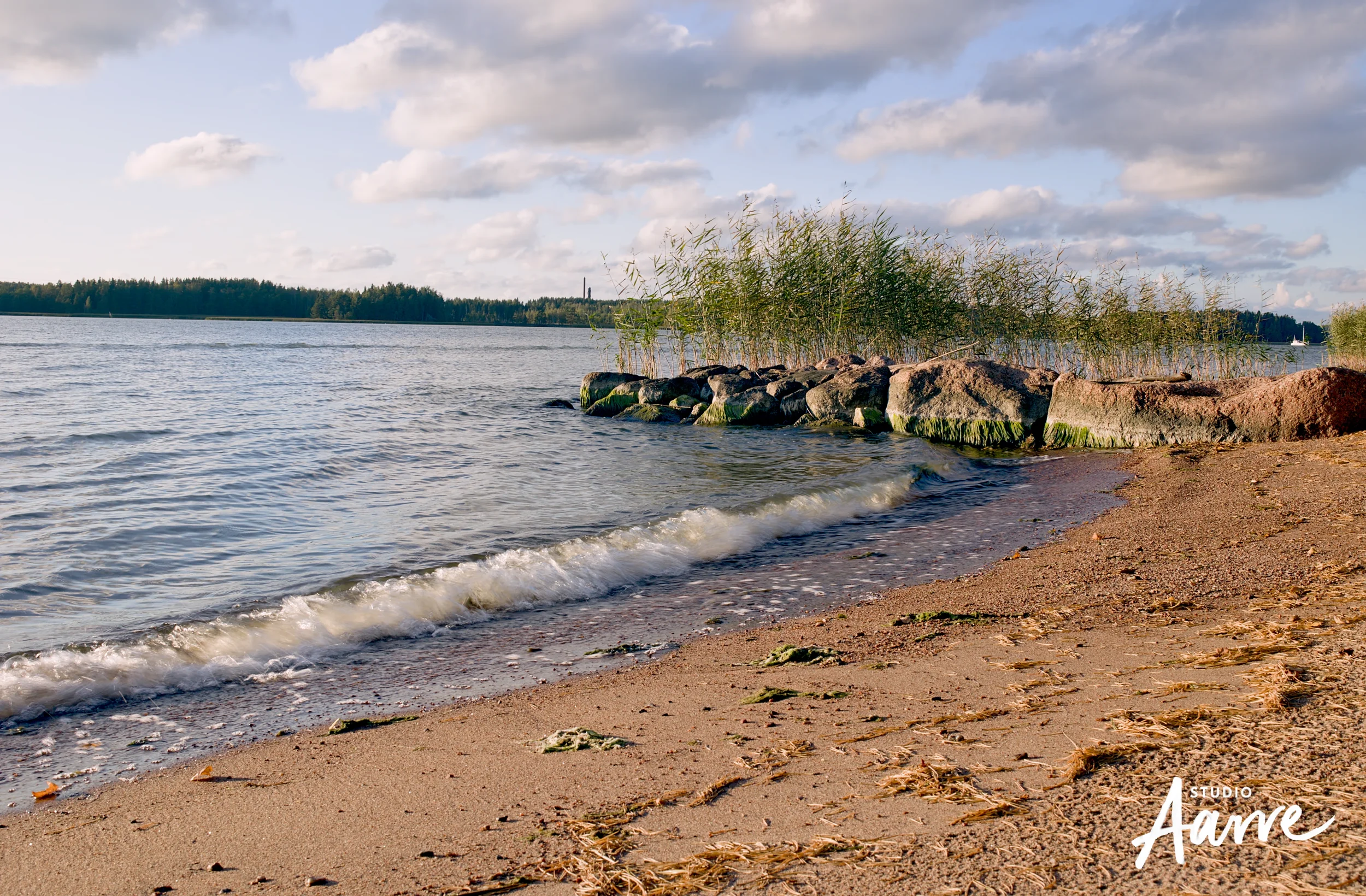 389A5835.webp