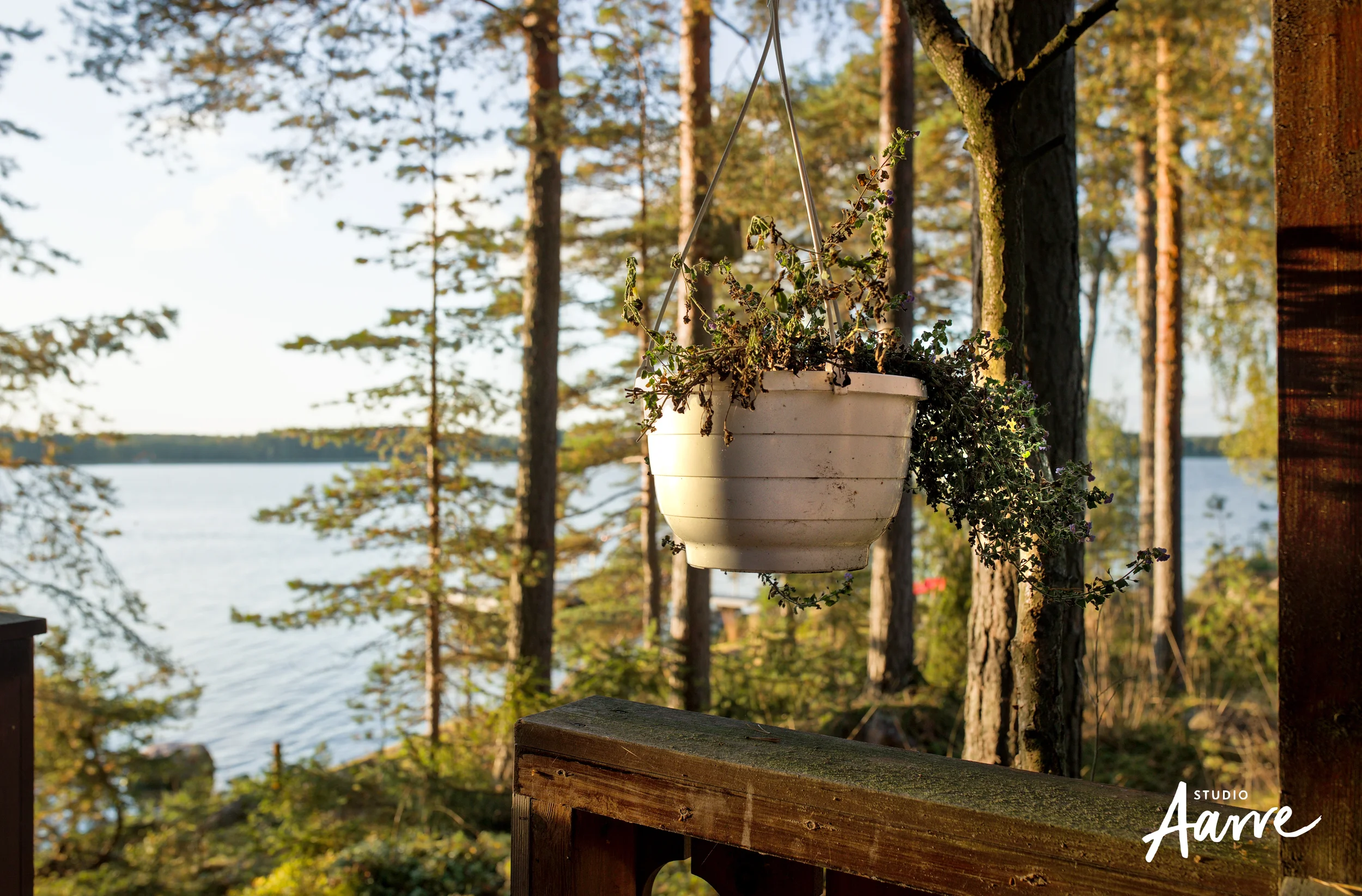 sauna.webp