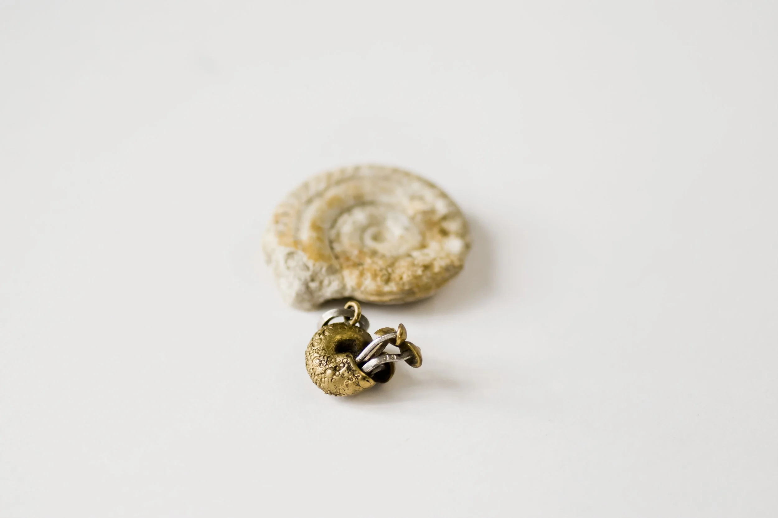 220324pdtescargot _1.jpg