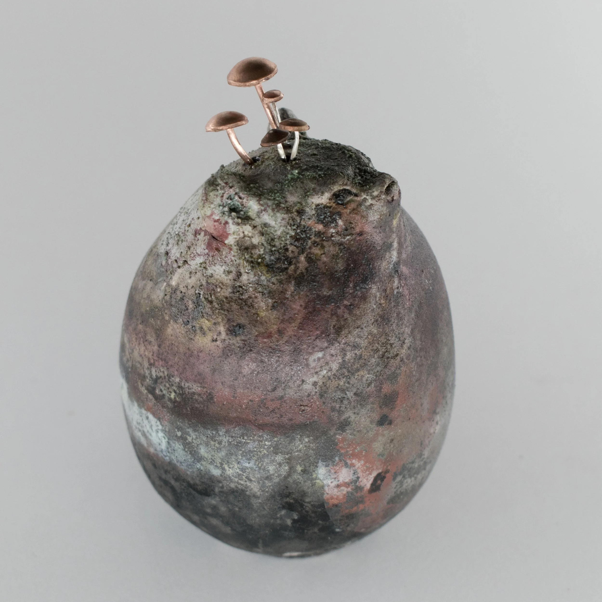 240812cocreacecileaurejacpetitebouleours_2.jpg