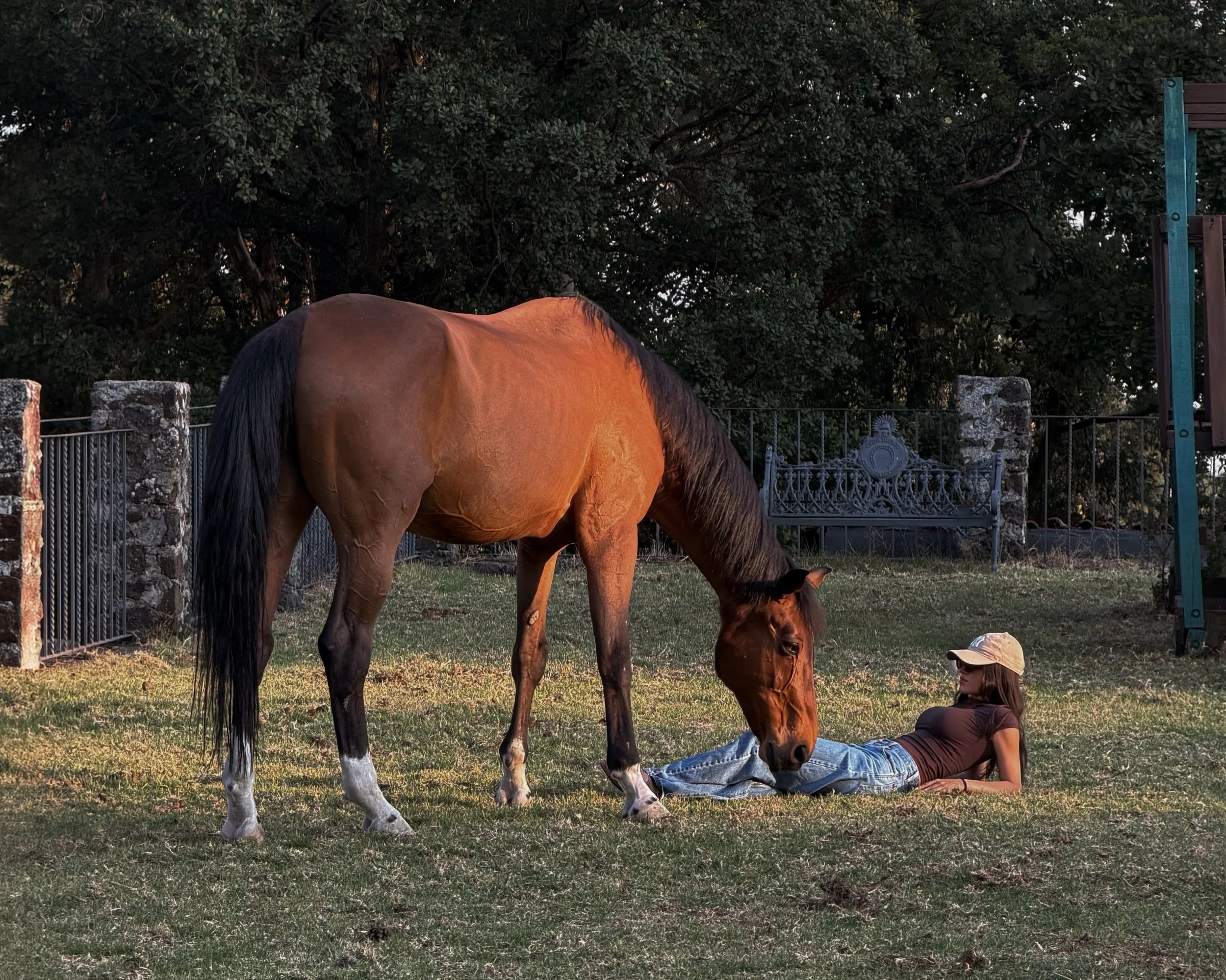 close to my heart 🧺🌾🐑🐎
.
.
.

countryside, rural life, farm animals, peaceful living, earthy vibes, simple moments, nature girl, rustic life, Mexican countryside, nostalgia