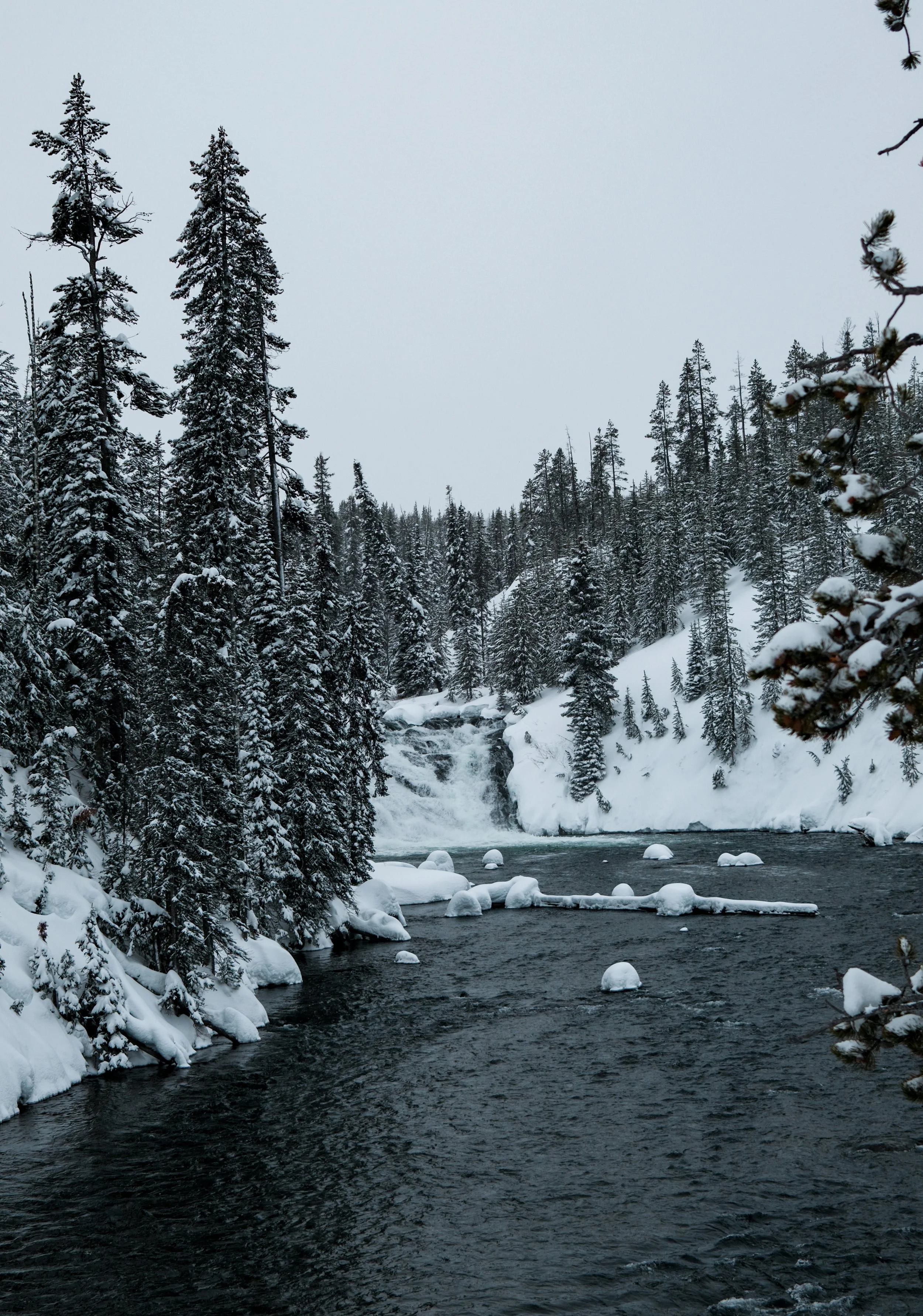 DSCF0518.jpg
