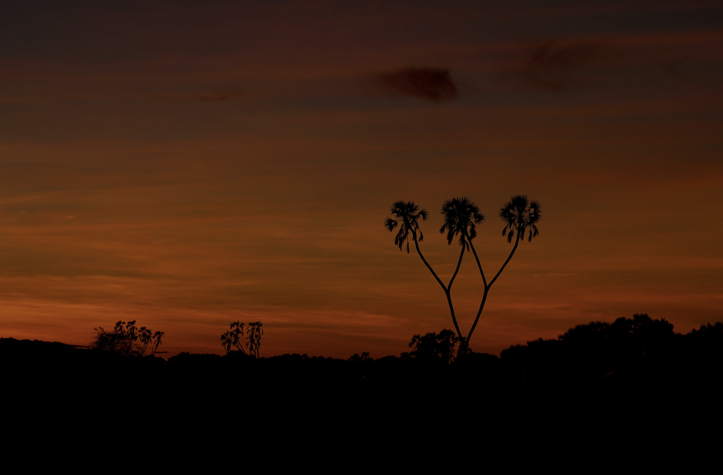 samburu3.png