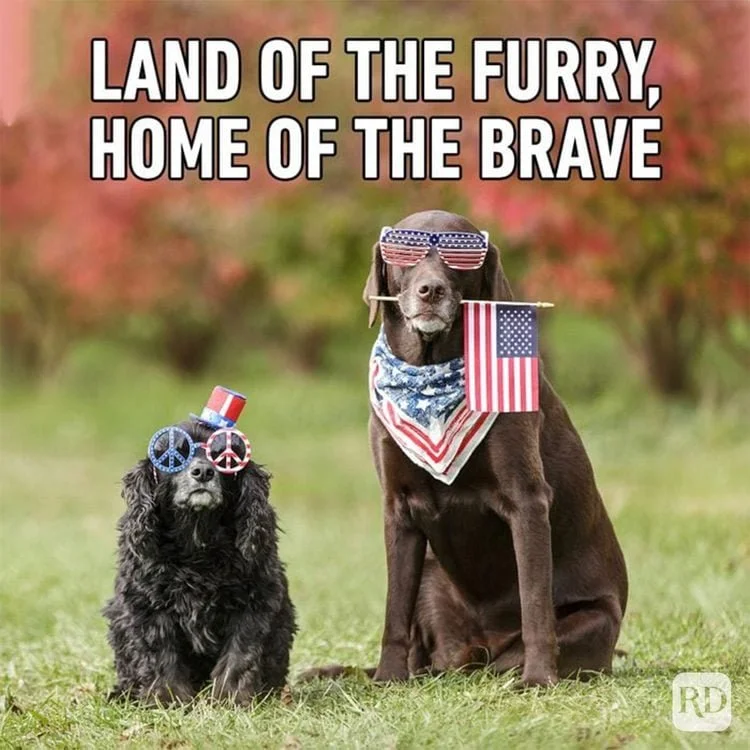 Remember our Veterans with me this Memorial Day Weekend Saturday at the America 250: Red, White, and Remember Parade hosted by the Market Common. I am honored to be in the Parade Saturday and attending the Vietnam War Memorial opening on Monday. 

Th