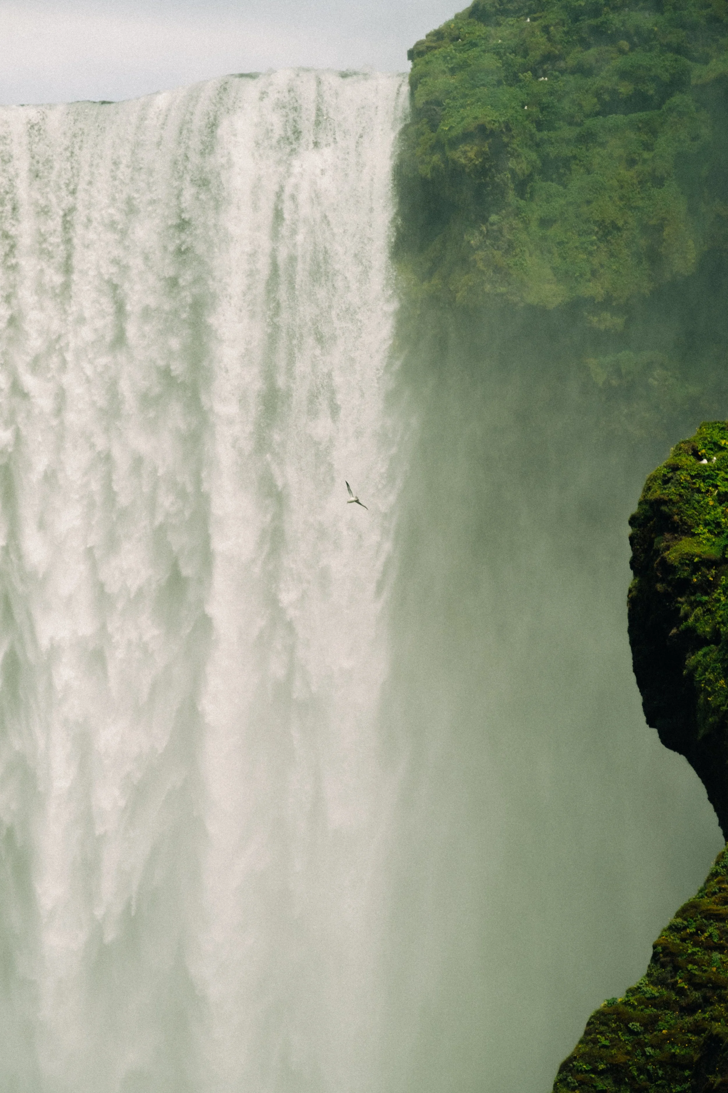 A large waterfall surrounded by lush green vegetation with a bird flying near the mist.
