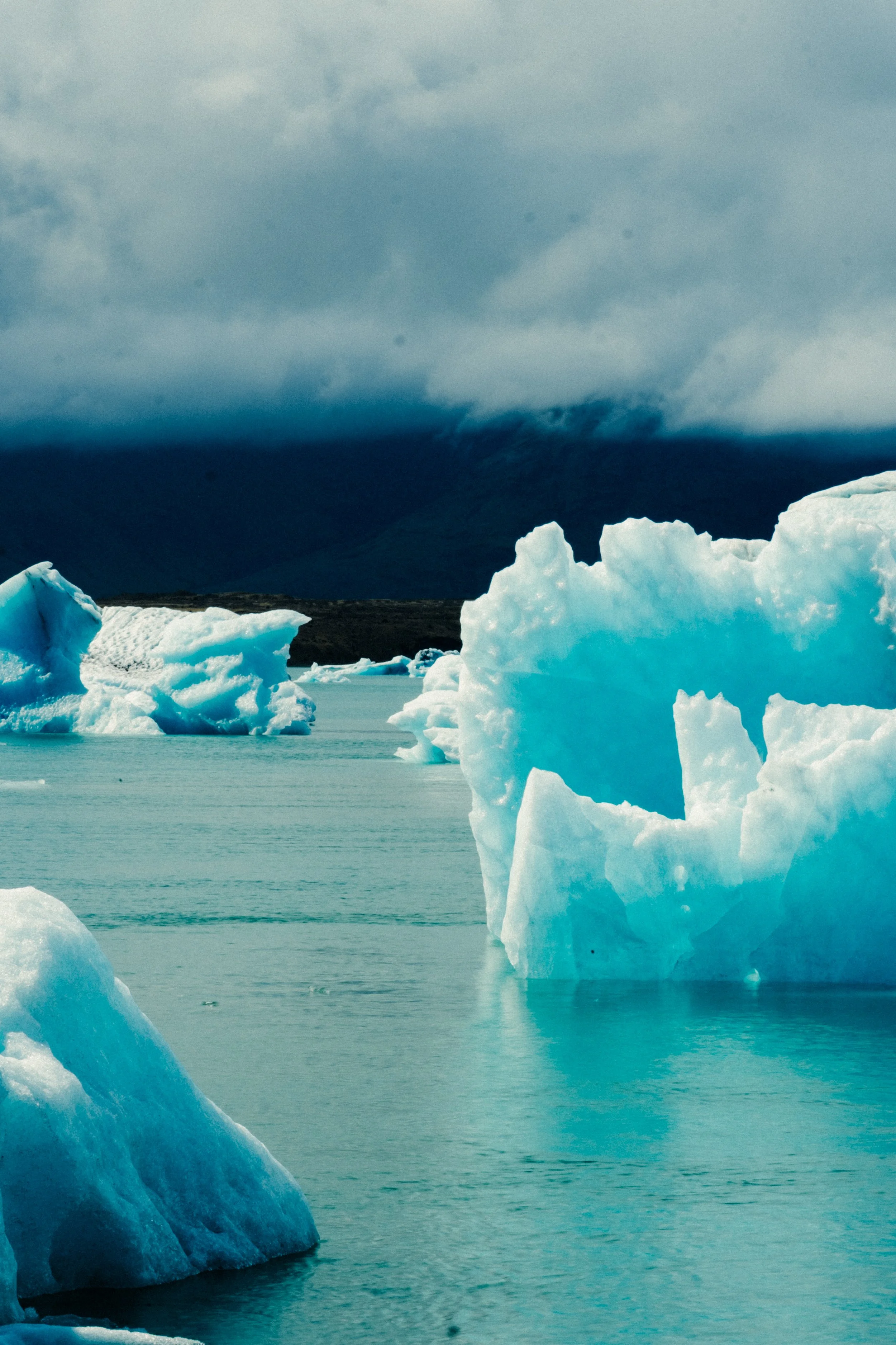 Icebergs floating in calm icy water under cloudy sky, with dark mountain in background.