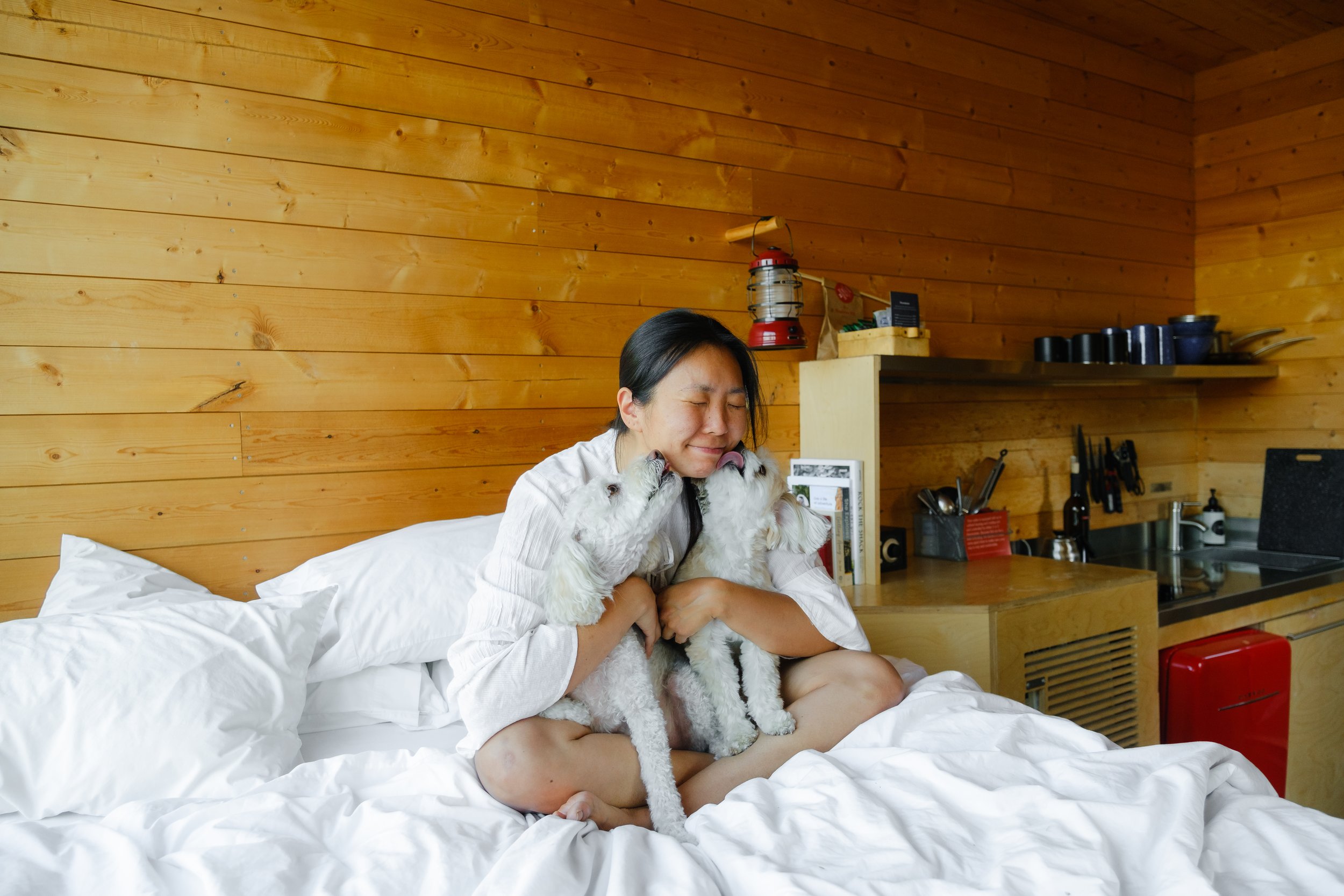 A woman sitting on a bed in a wooden room, holding two pugs and hugging them, with a smile on her face.