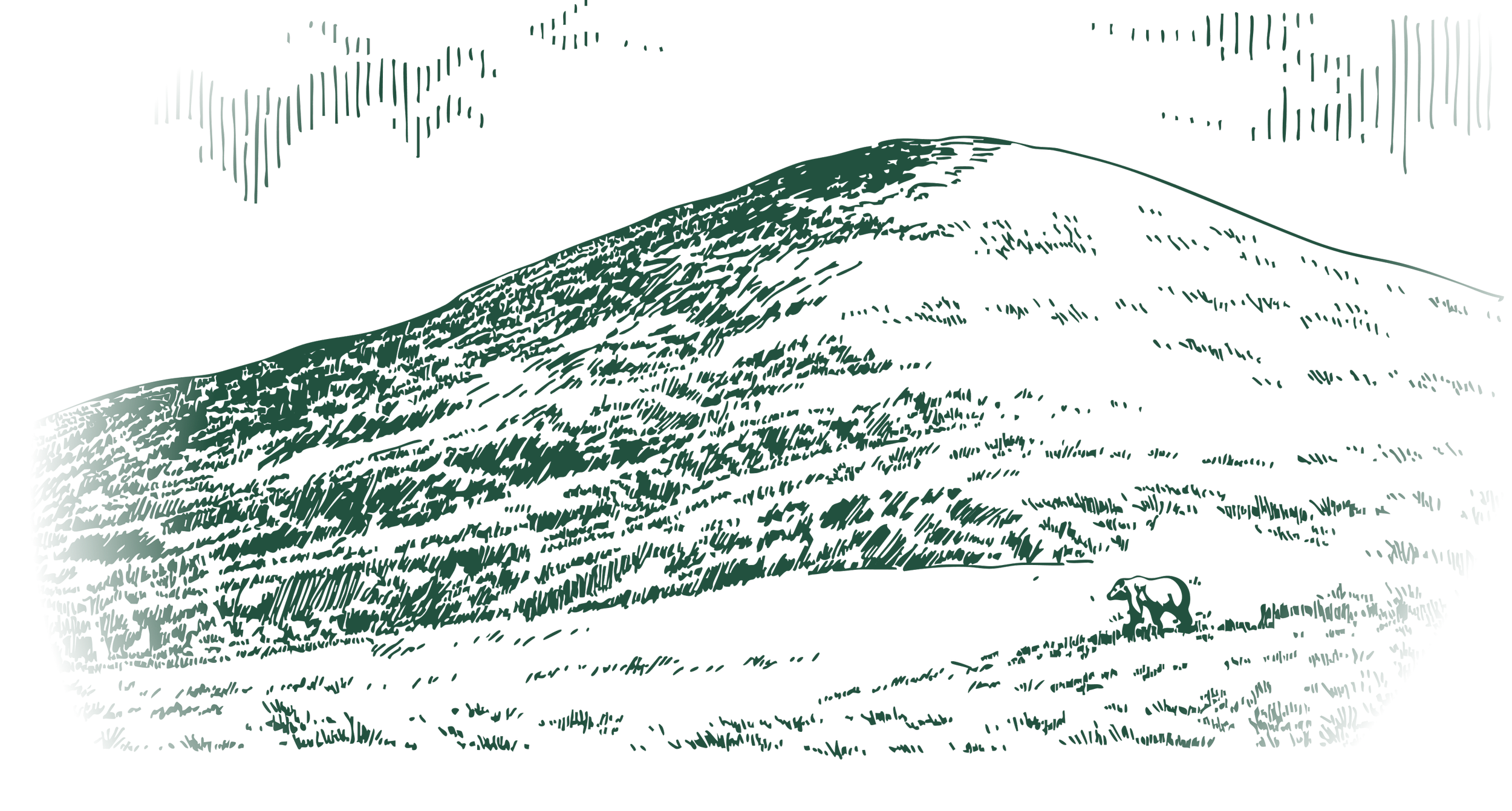 A line drawing of a large mountain, possibly a volcano, with a small animal, like a dog or a wolf, in the foreground and clouds in the sky above.