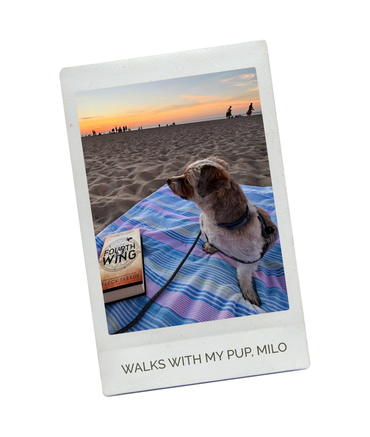 Doula Kirsten Vogt's dog milo sitting on beach blanket with Fourth Wing book.