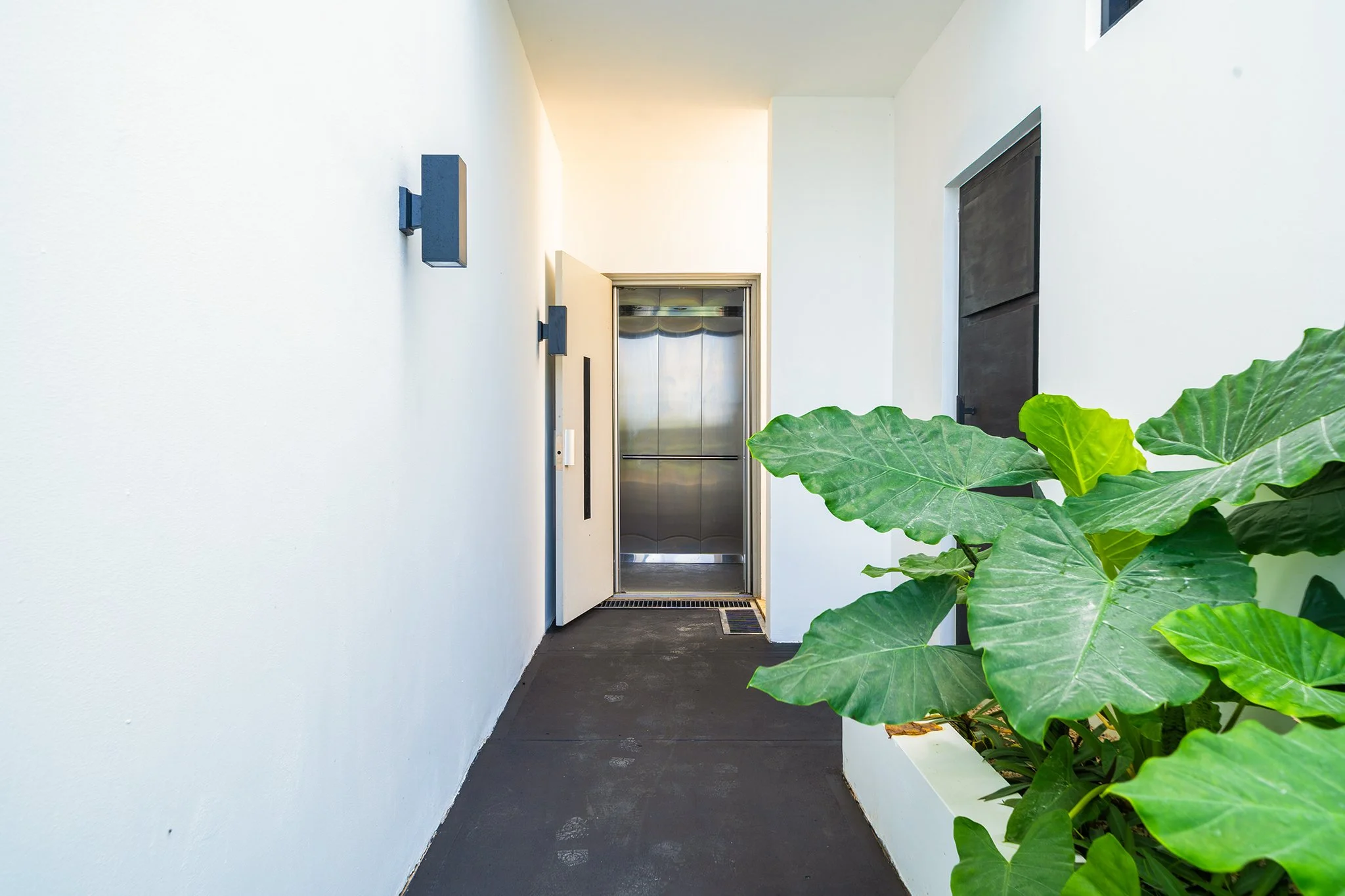 A white exterior hallway with an elevator door at the end and a large green plant on the right side.