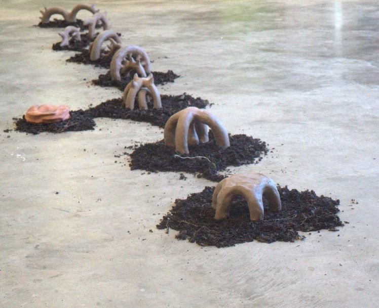 Nuclear Family Dynamics