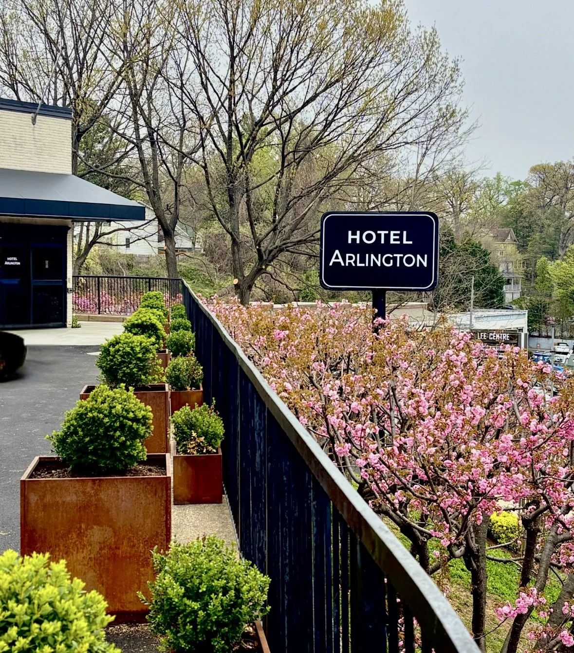 Pink flowering trees next to a black railing and a sign that reads 'Hotel Arlington' outside a hotel building surrounded by trees and plants.