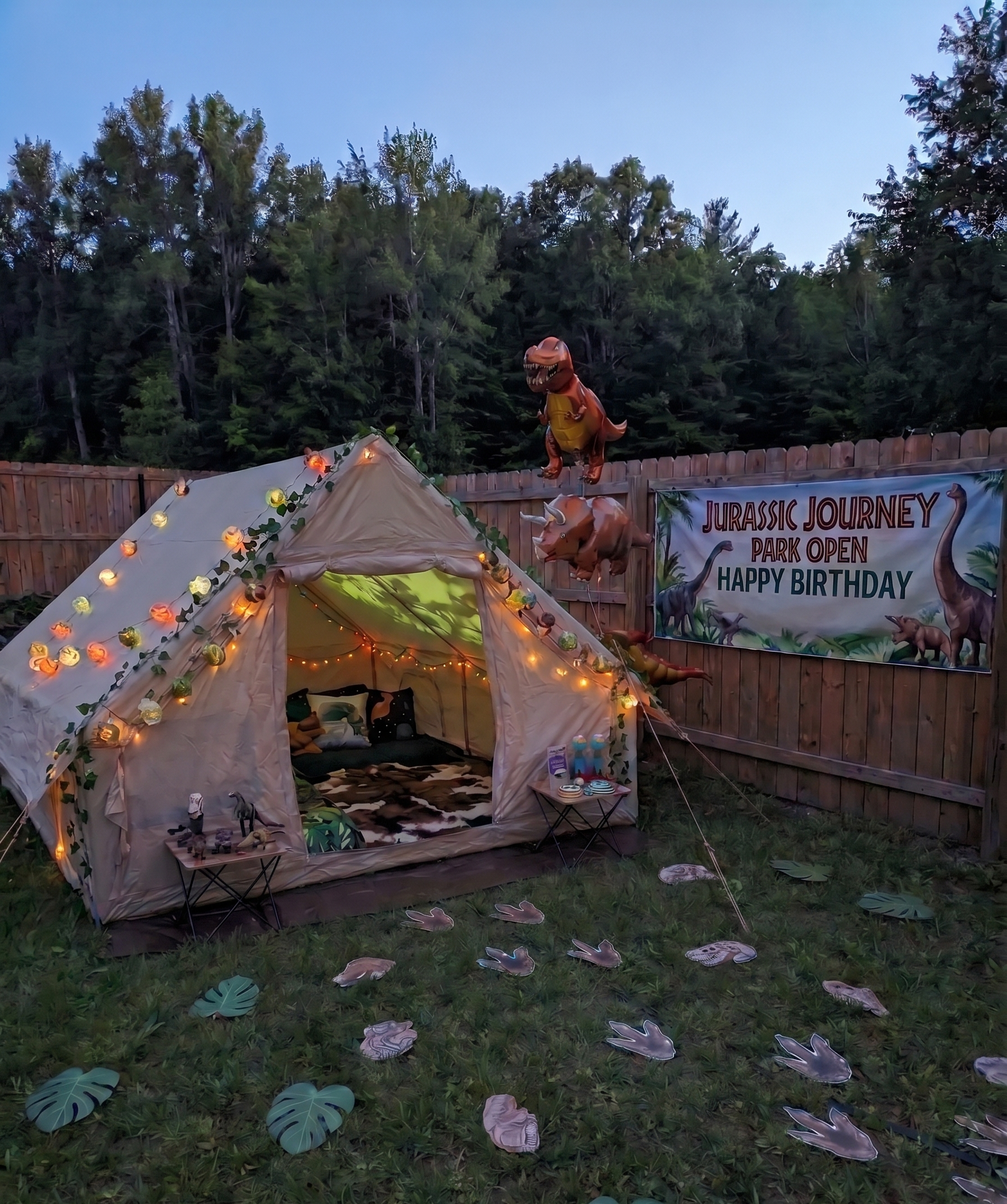 dinosaur set up