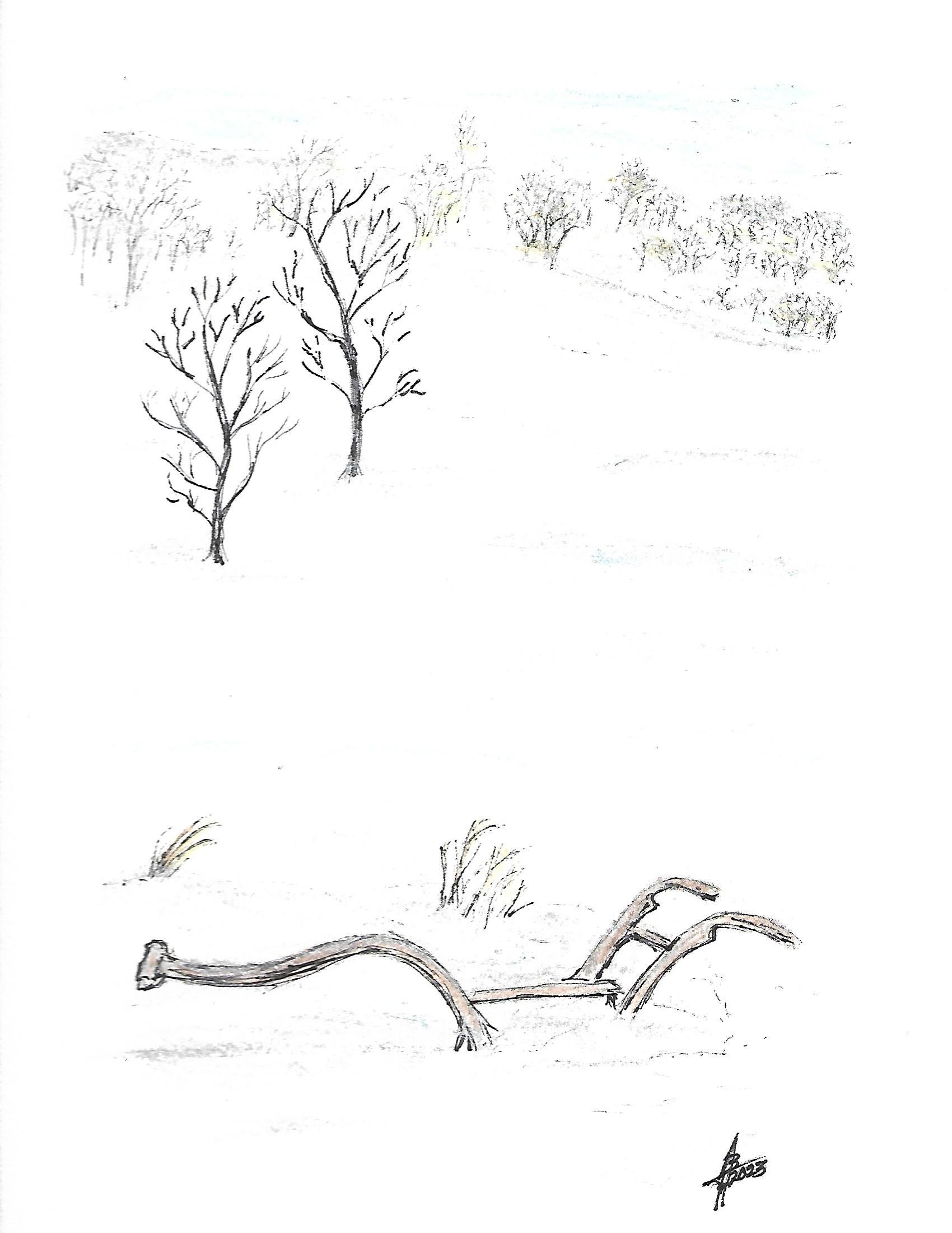 Pen&Ink drawings_0003.jpg