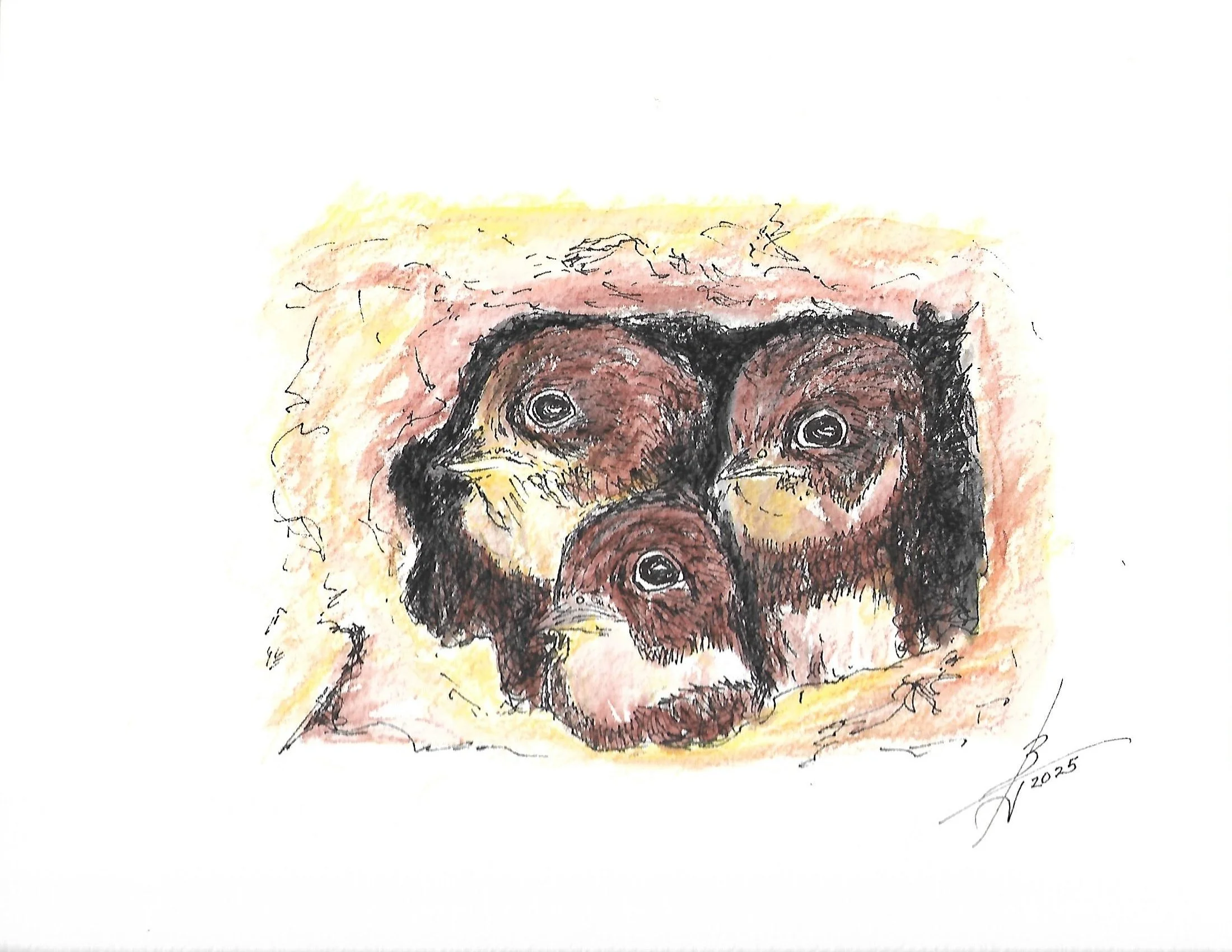 Scan.jpg Pen and Ink 9-6-25_0003.jpg