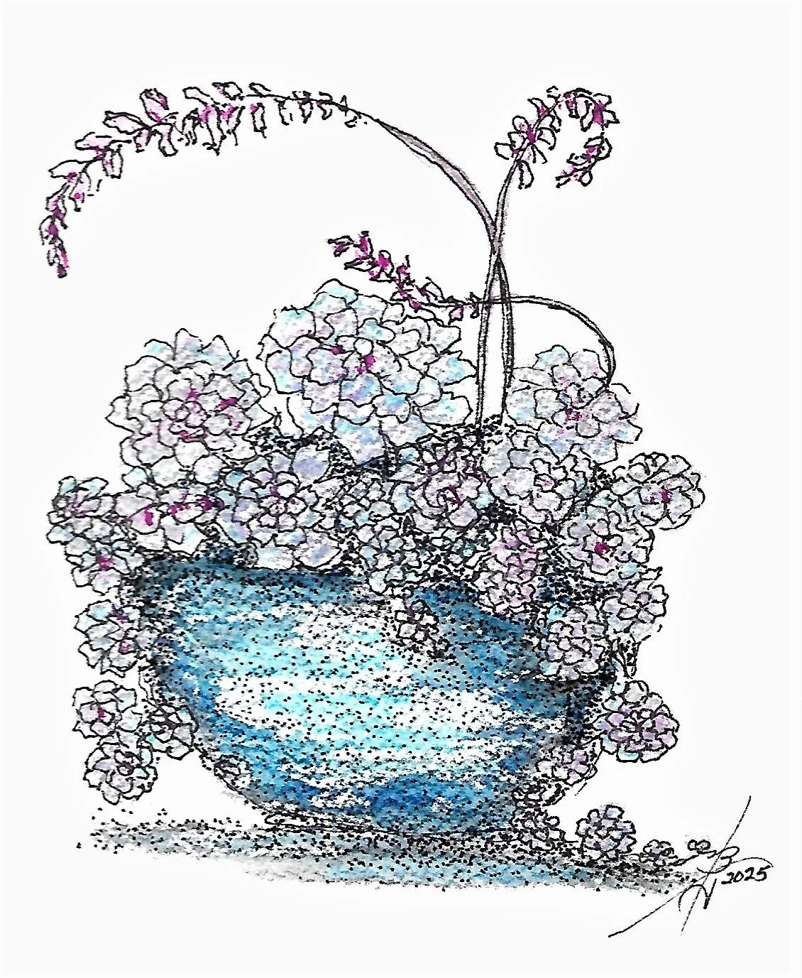 Hen and Chicks Pen and Ink 2025.jpg