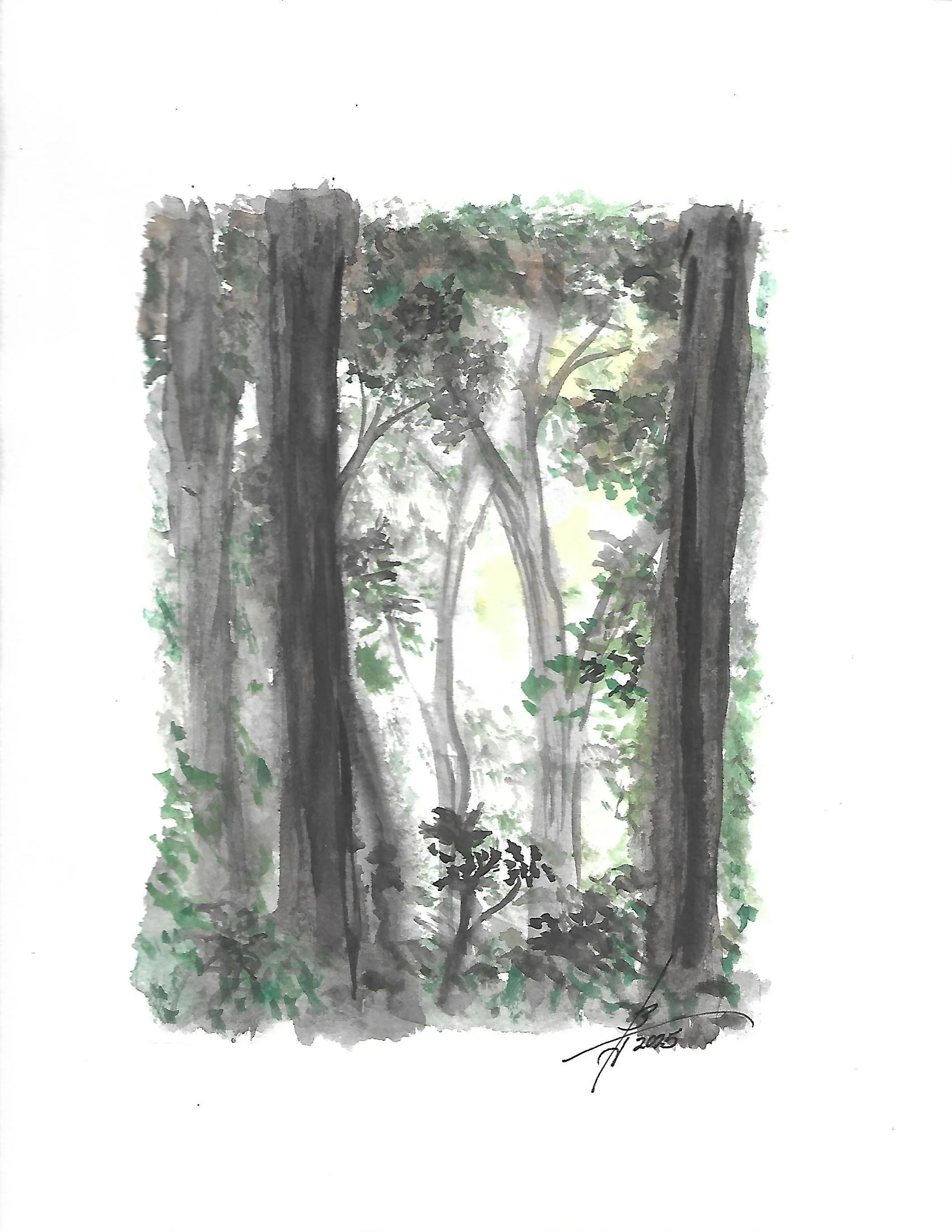 Woods  Watercolor.jpg