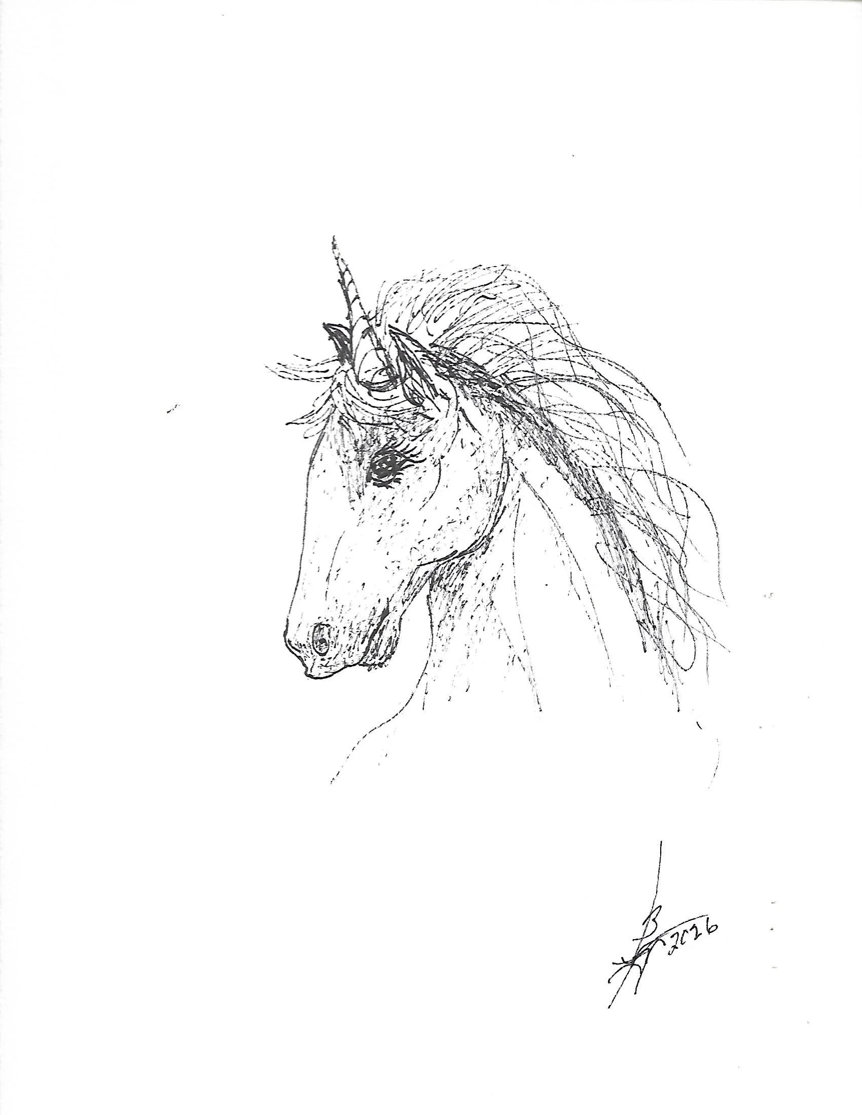 Unicorn - pen and ink.jpg