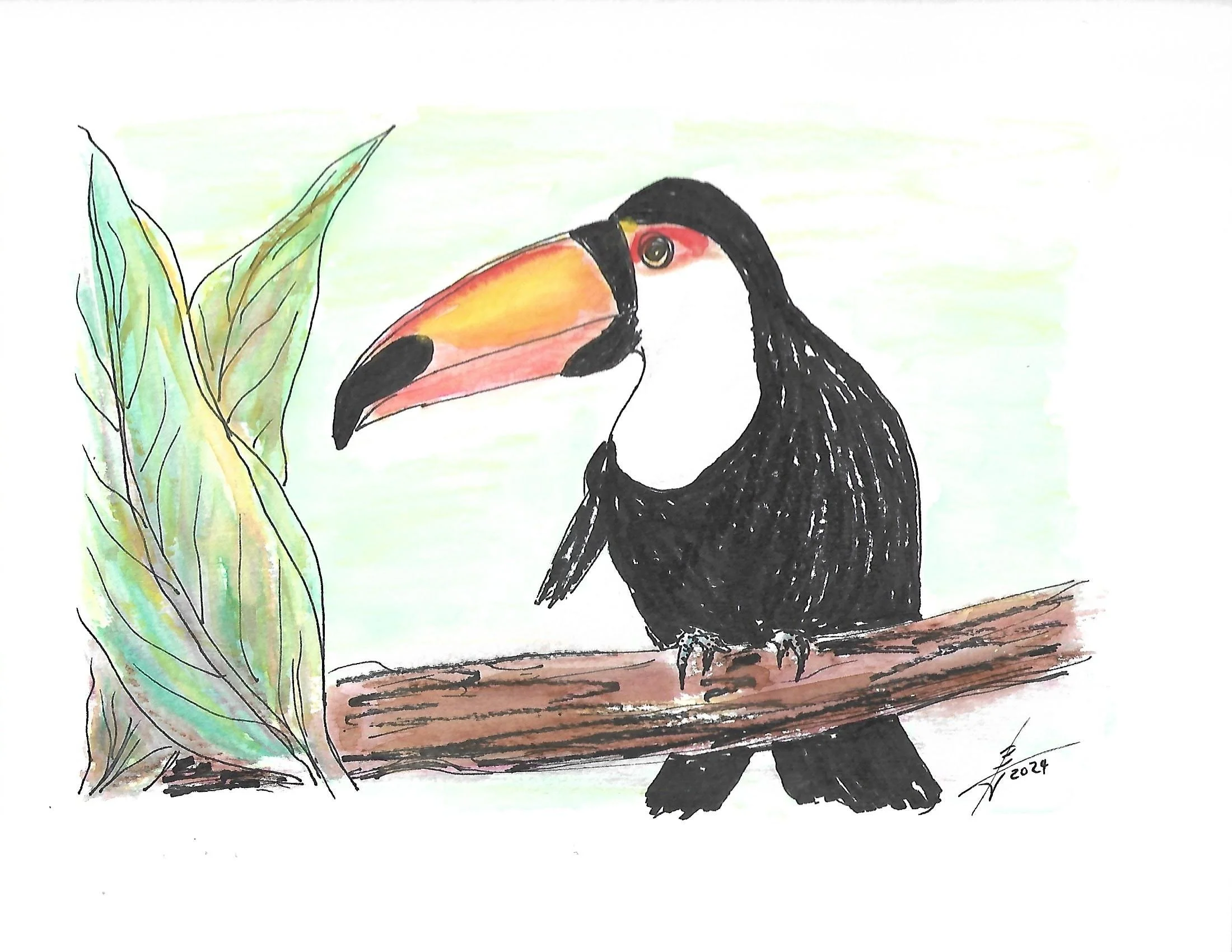 Pen and Ink with watercolor_0021.jpg