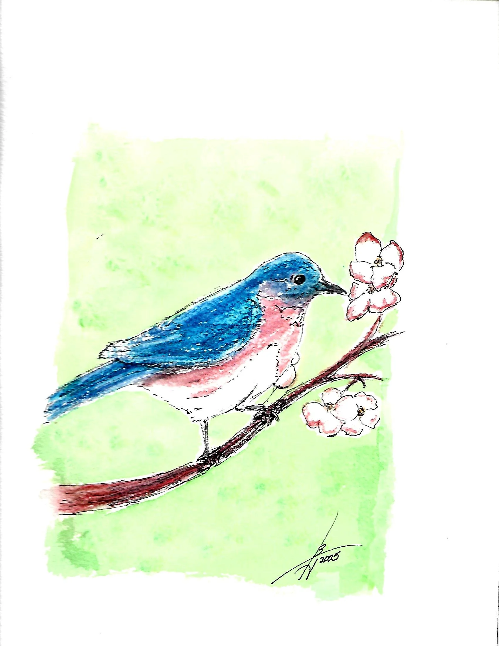 Scan.jpg 7 pen n ink birds_0006.jpg