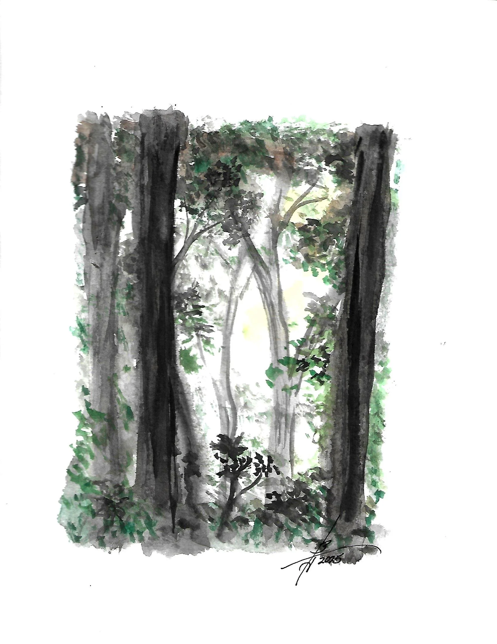 Scan.jpg 4 pen n ink_0002.jpg