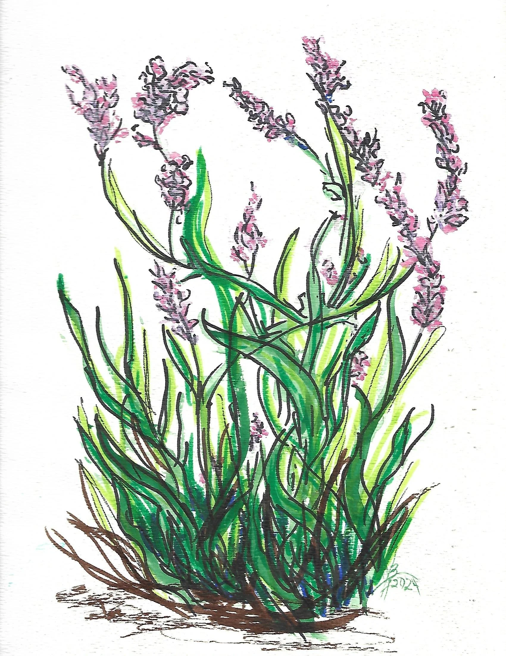 Pen n Ink 2025_0011.jpg