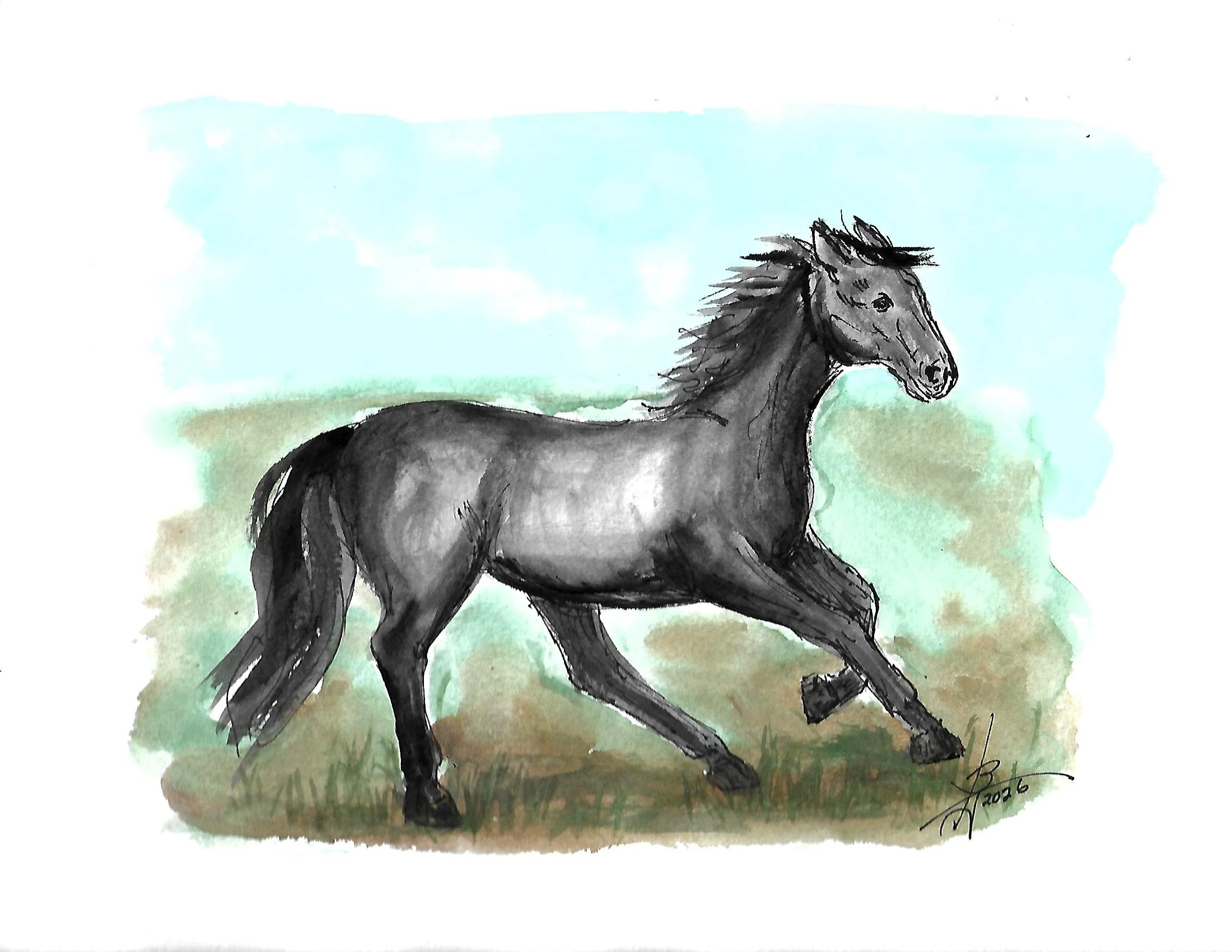 Scan.jpg black horse.jpg