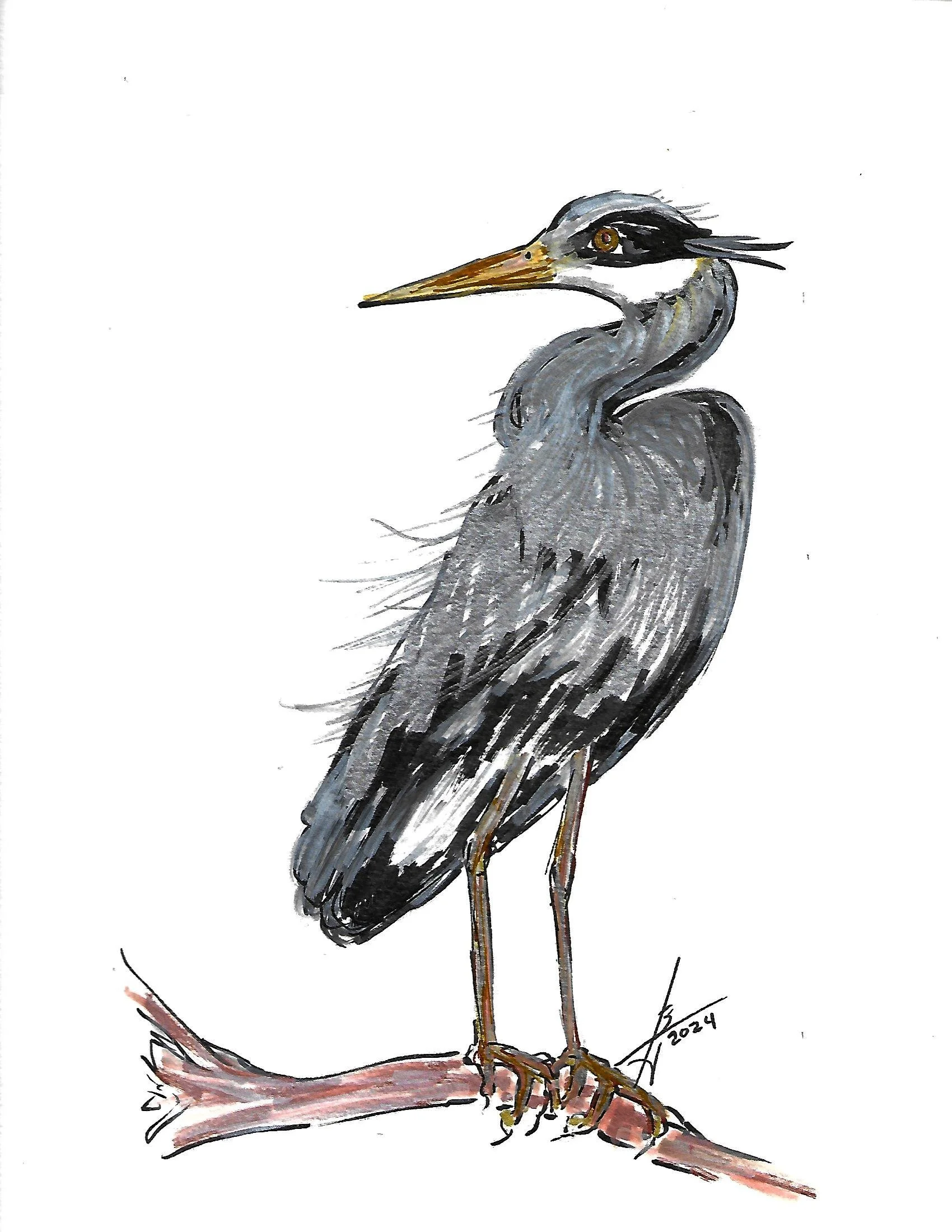 Great Blue    acrylic pens.jpg