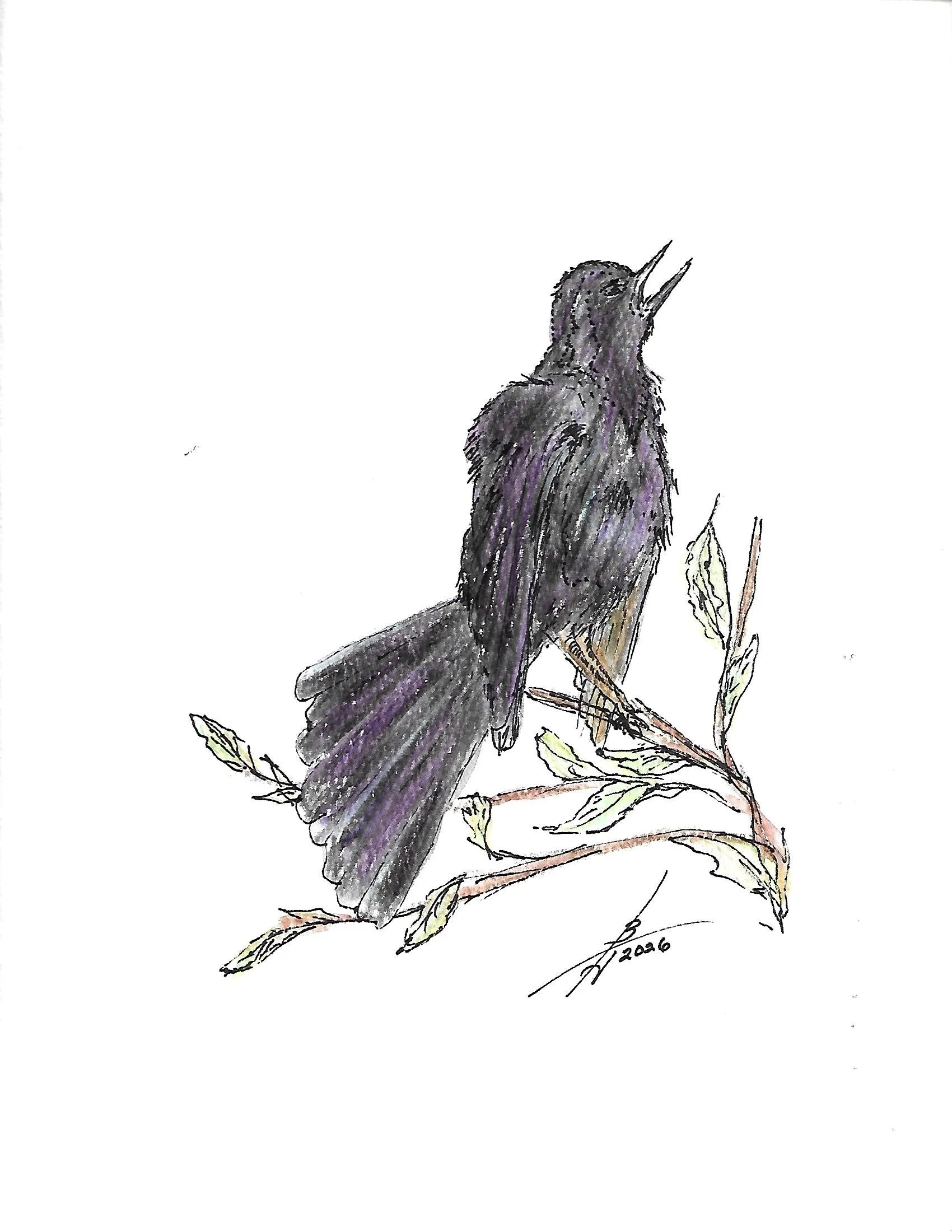 Pen n Ink 1-2026_0002.jpg