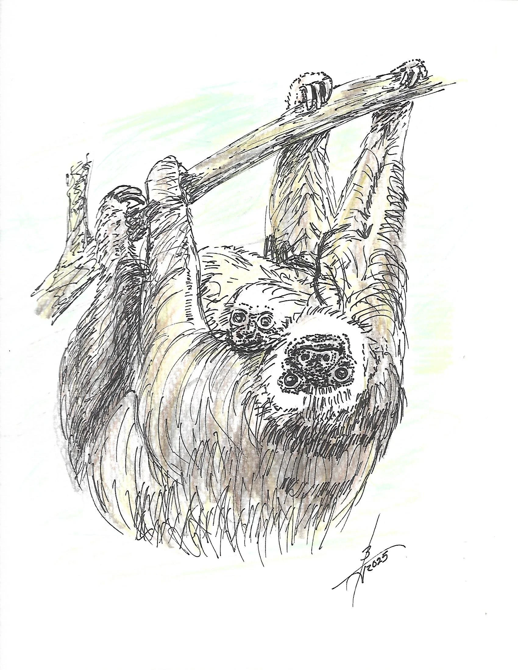 Pen and Ink with watercolor_0035.jpg