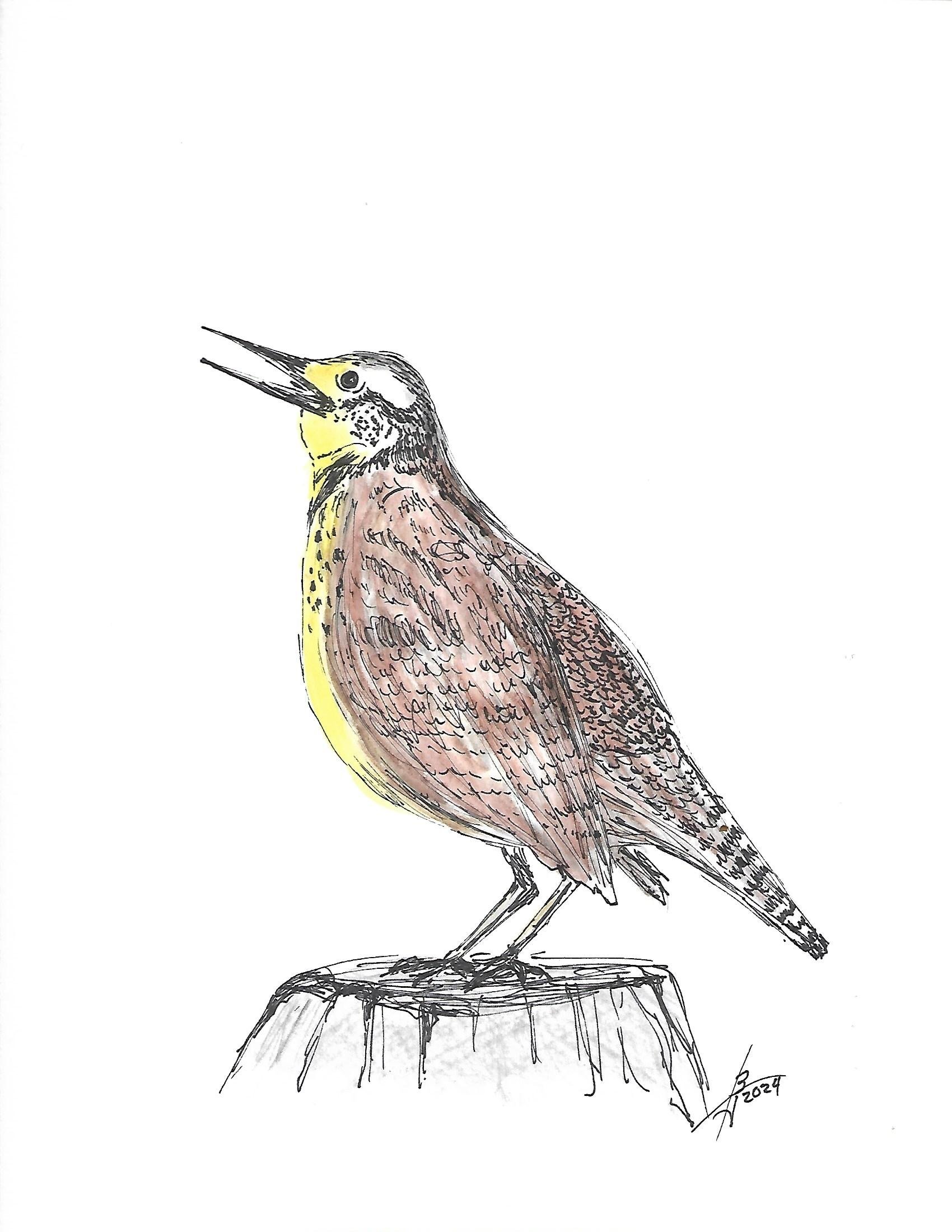 Pen and Ink with watercolor_0020.jpg