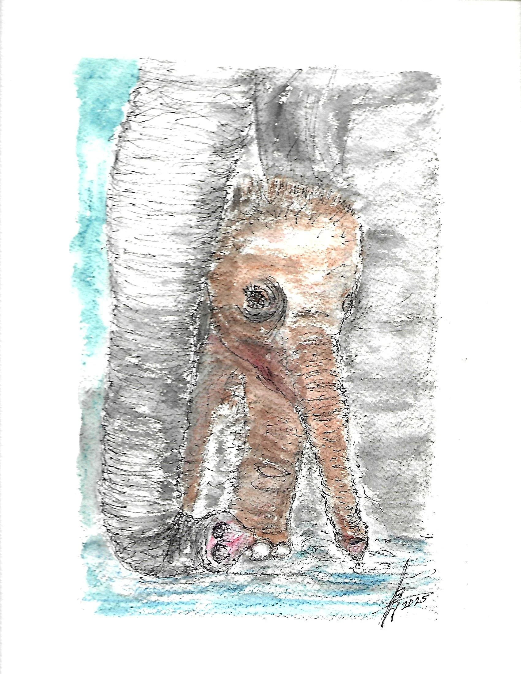 Scan.jpg 4 pen n ink_0001.jpg