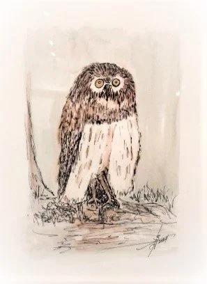 Owl  pen-ink 9X12.jpg